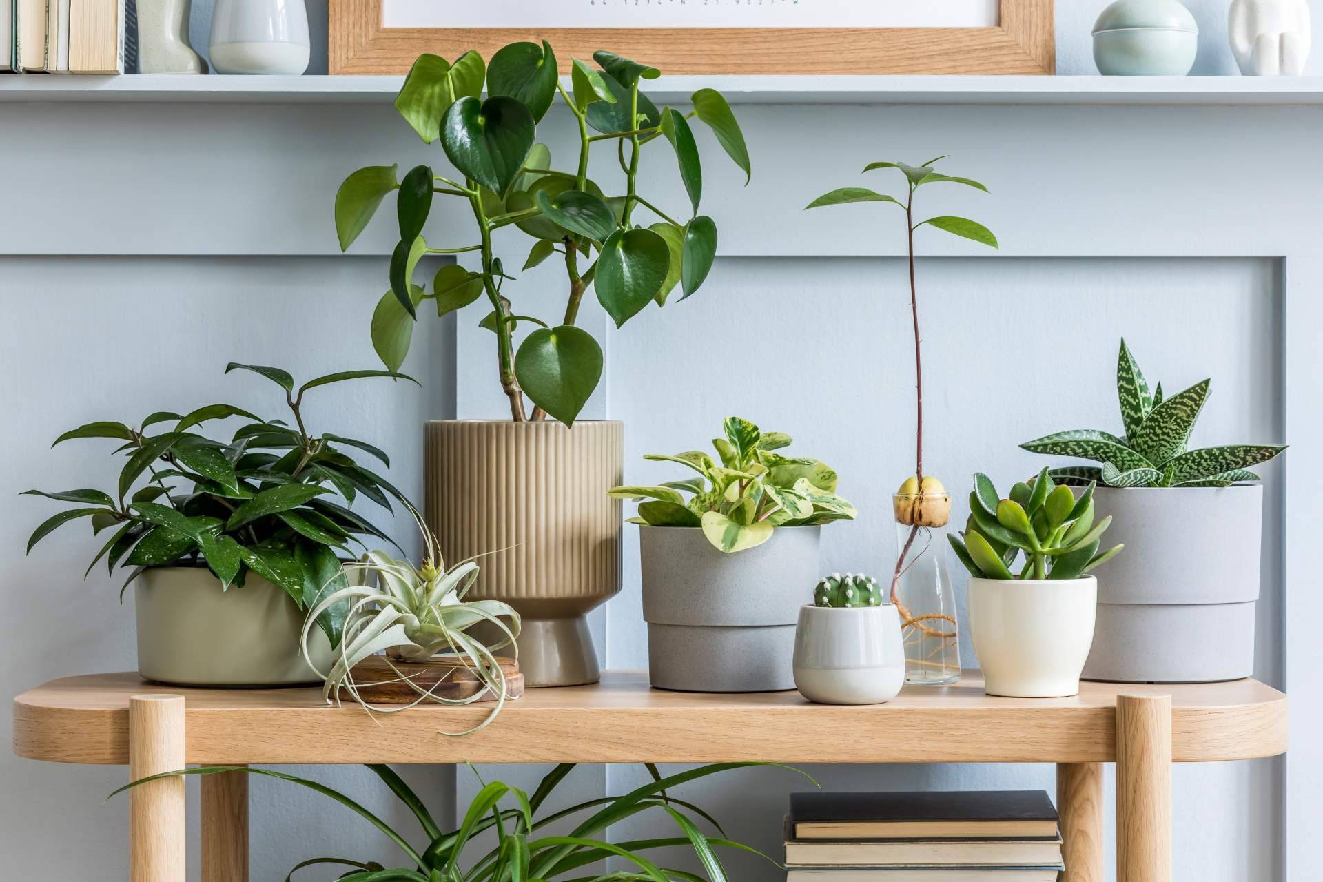 Hogar y Más y sus propuestas de decoración exterior para verano