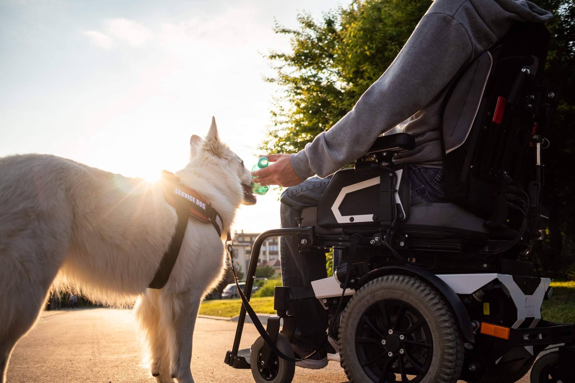 Fundación Disgrup hará el Camino de Santiago en silla de ruedas para reivindicar los derechos de las personas con discapacidad en España