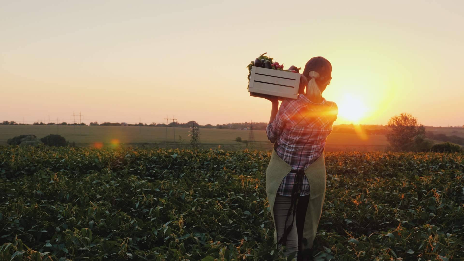 Serunion y las prácticas que lleva a cabo para fomentar la alimentación sostenible