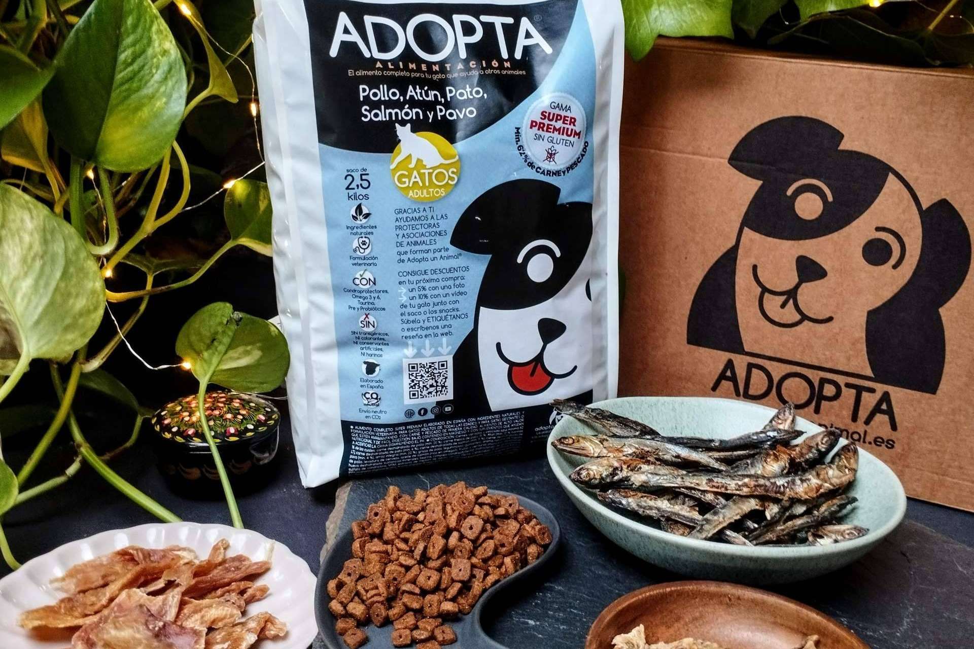 Descubrir el pienso extra de carne para gatos que está revolucionando la alimentación felina