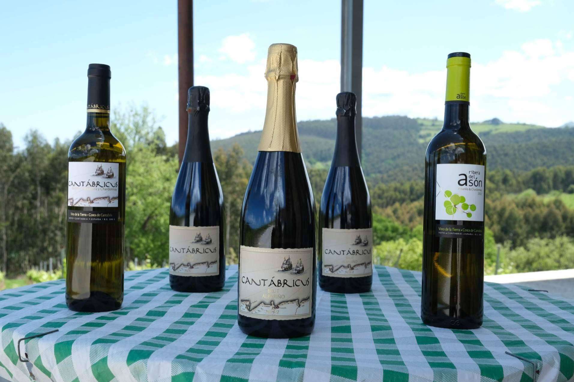 La historia de amor y respeto por el vino y la 'tierruca' que se esconde detrás de Bodegas Vidular