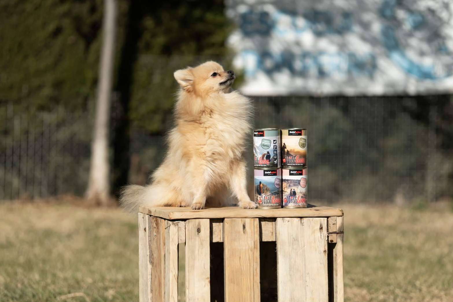 La nueva gama de comida húmeda para perros y gatos de Satisfaction, With Love