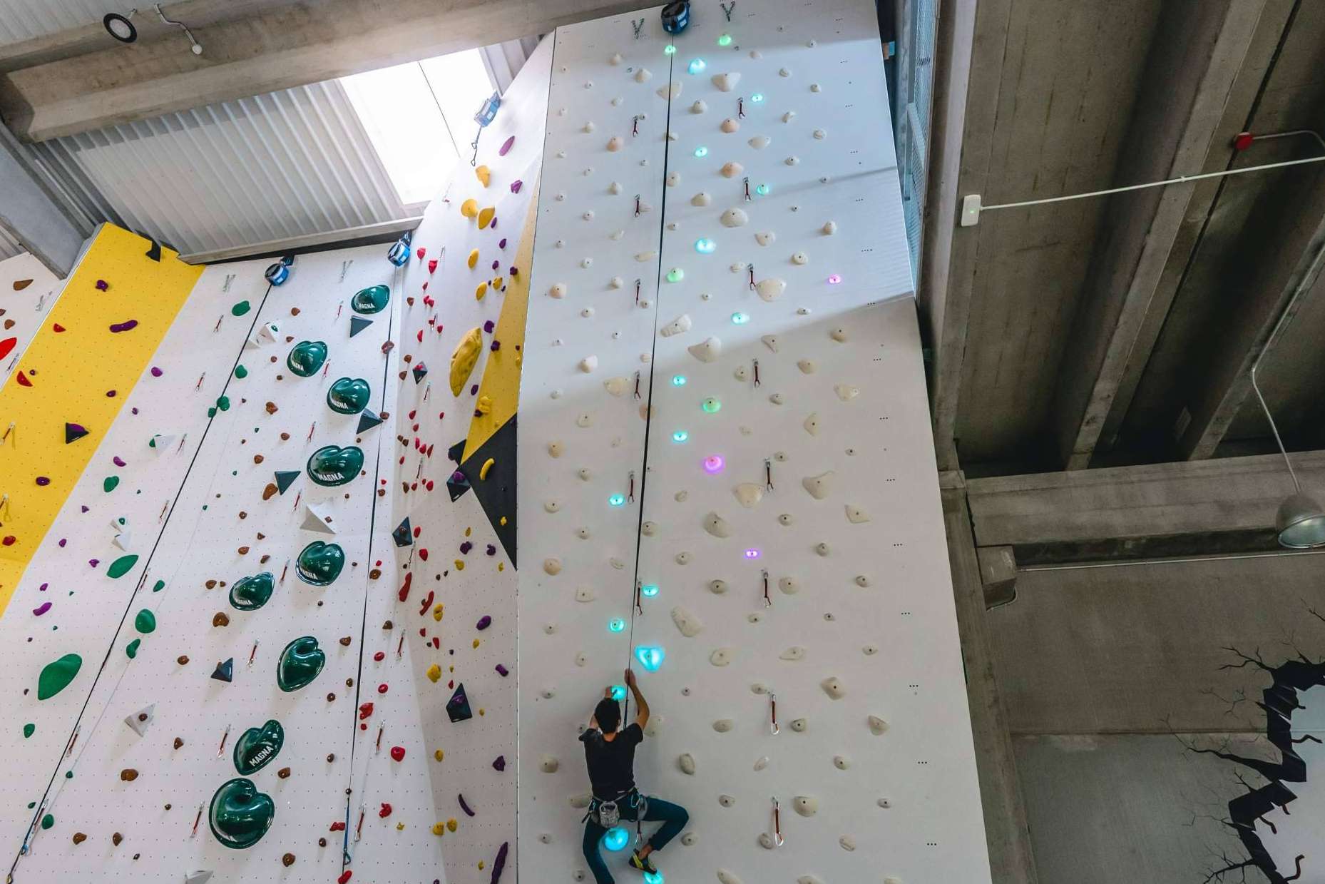 Shiny Wall se ocupa de montar paredes interactivas en rocódromos en España