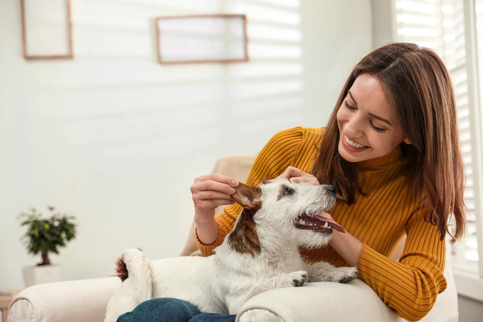 El amor y el adiestramiento no son suficientes para tener el perro deseado