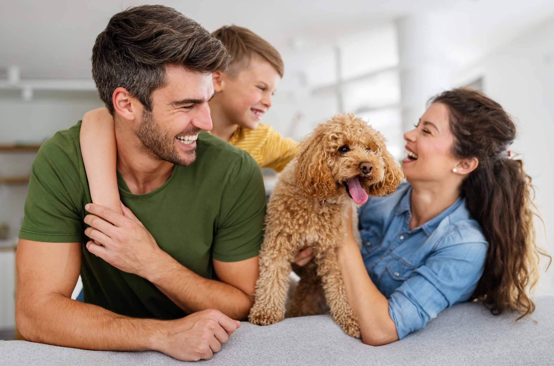 La novedosa aplicación para compartir vídeos de mascotas, ClickGuau