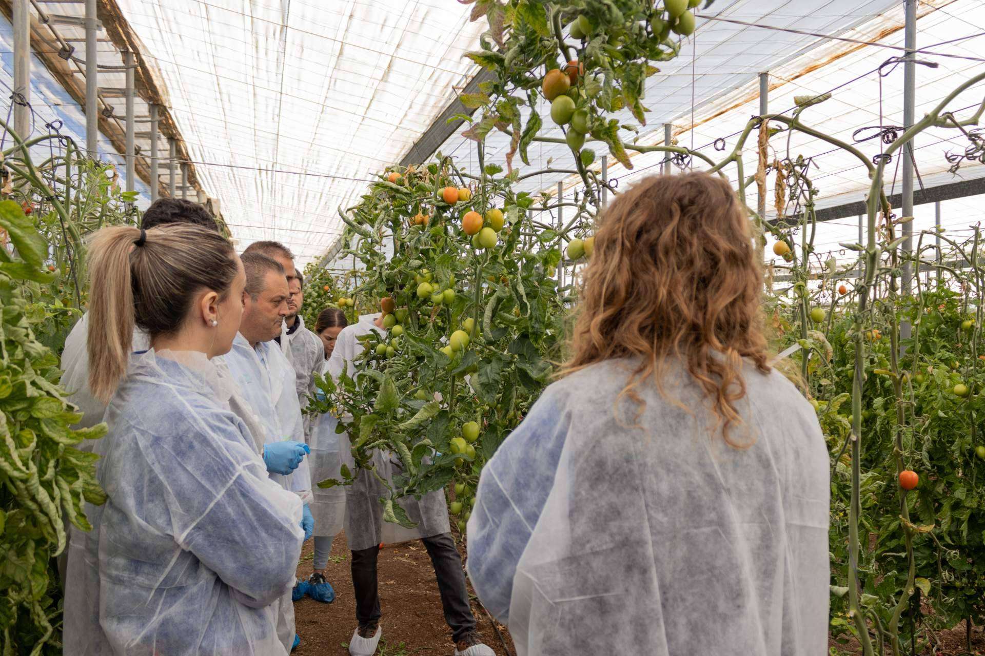 CapGen Seeds registra un aumento del 18 % en la producción de variedades hortícolas debido al crecimiento de las ventas locales e internacionales