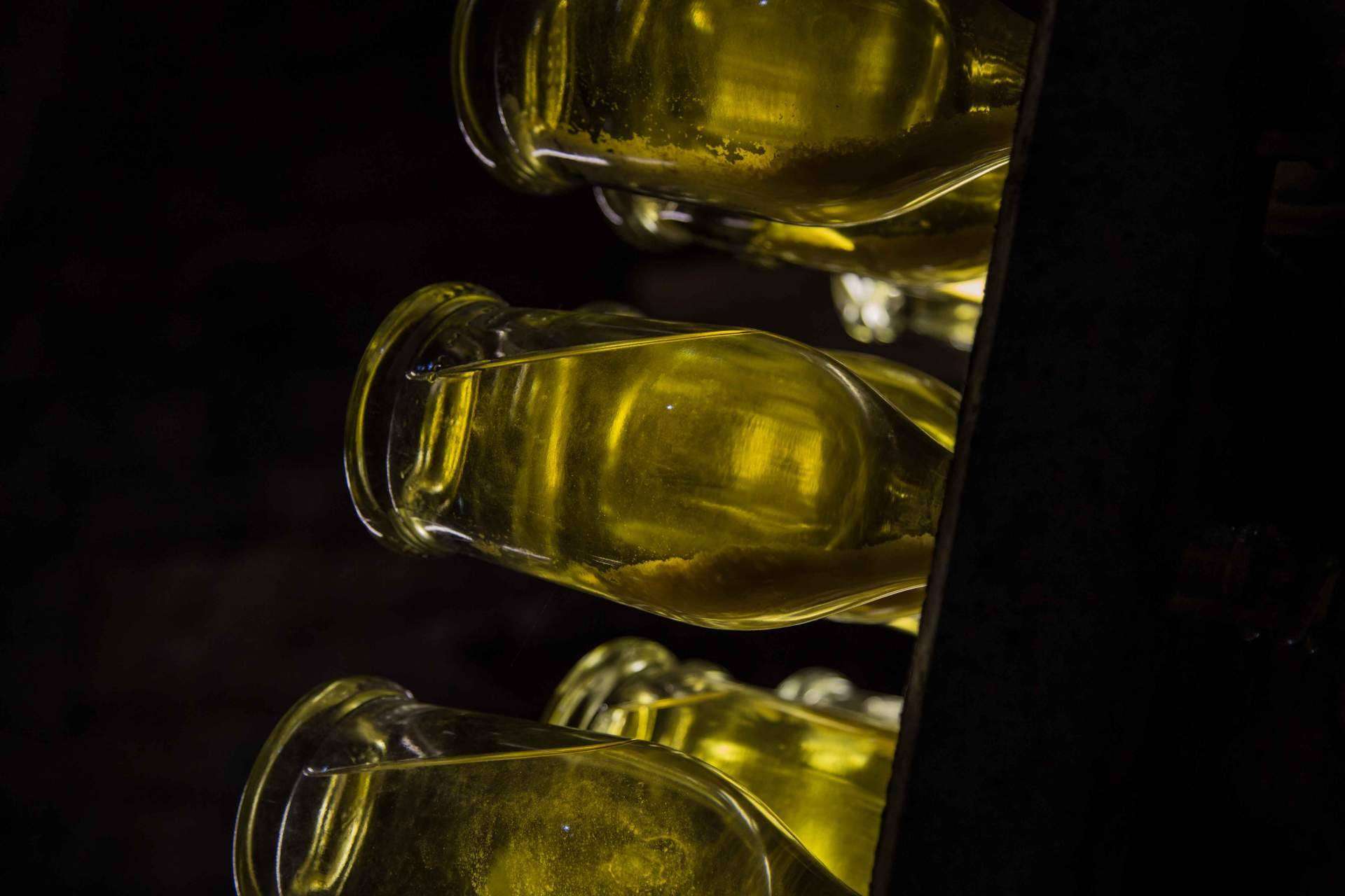 Una experiencia auténtica y libre de químicos; los vinos ecológicos de Naturalovers Wine