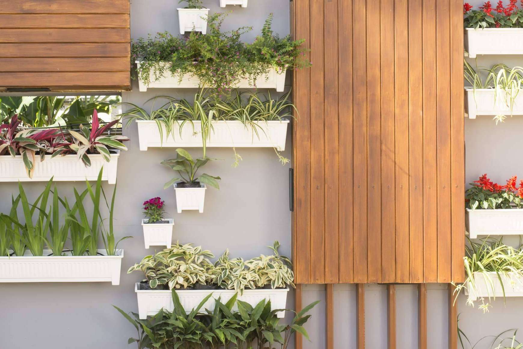 Adquirir un jardín vertical artificial en oferta, en JardinVertical.es