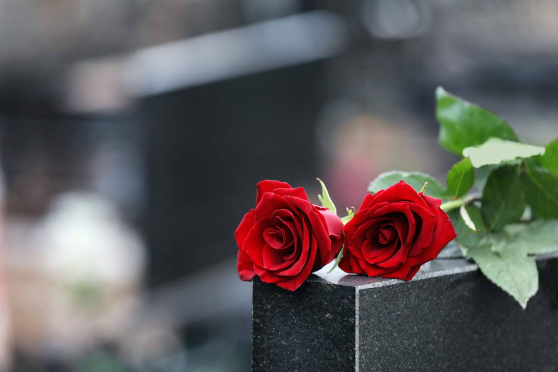 ¿Cómo diferencia de la competencia contar con un eficaz ERP de gestión funeraria?