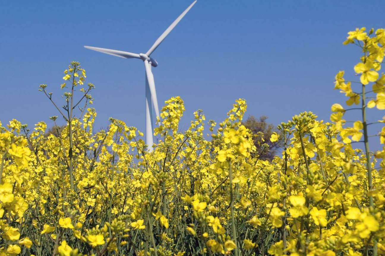 Eneryou ofrece asesoramiento energético para empresas de forma gratuita