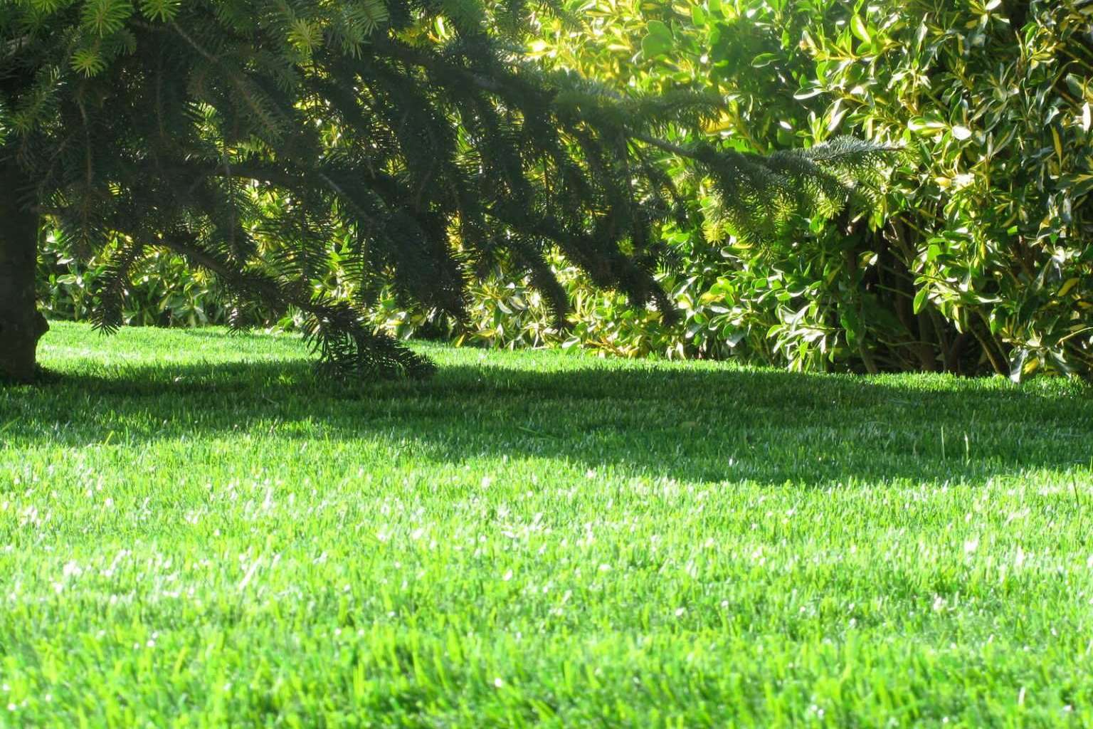 ¿Cómo decorar un espacio como el jardín con césped artificial? Albergrass