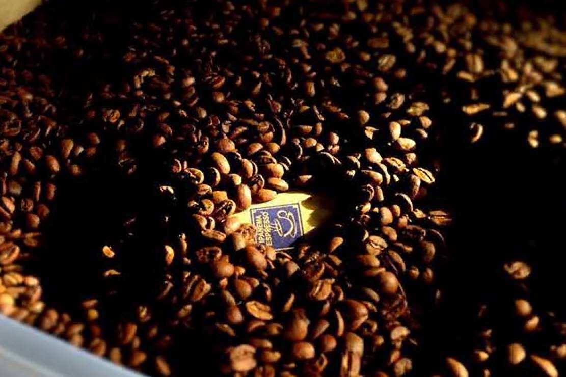 Fresh Ocs pone a disposición café de alta calidad y alquiler de máquinas para empresas