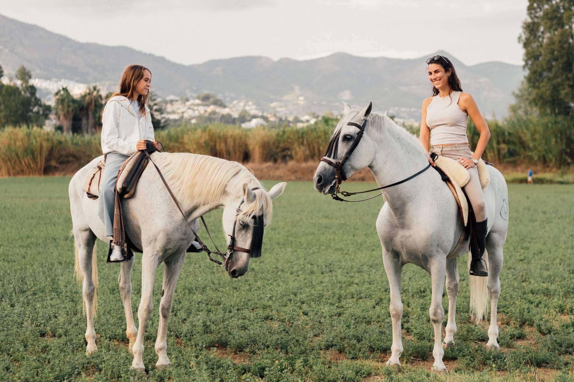 Limoni Homes, especialistas en viviendas en Marbella y alrededores