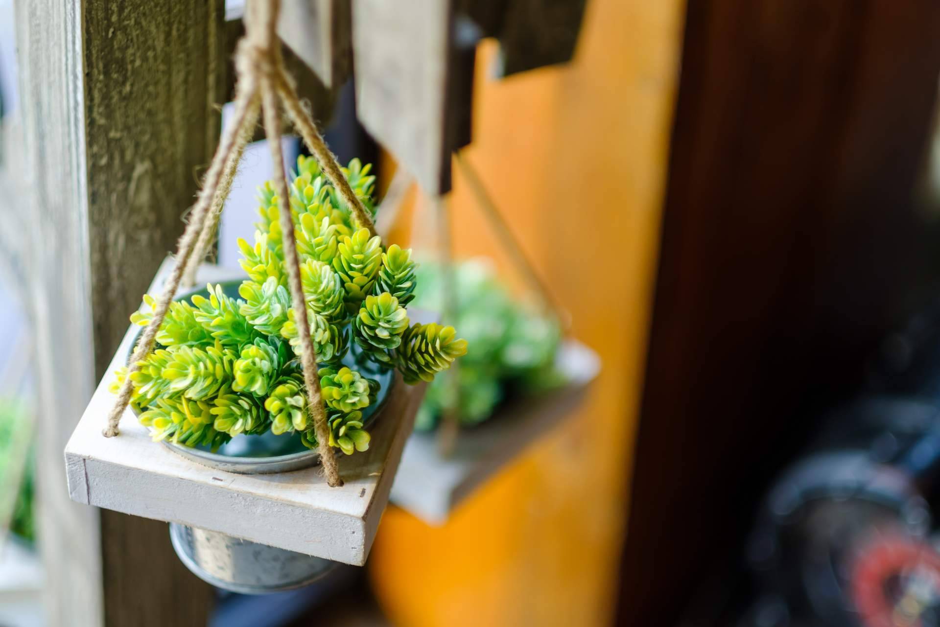 JardínVertical.es y su catálogo con más de 20 opciones en plantas artificiales realistas