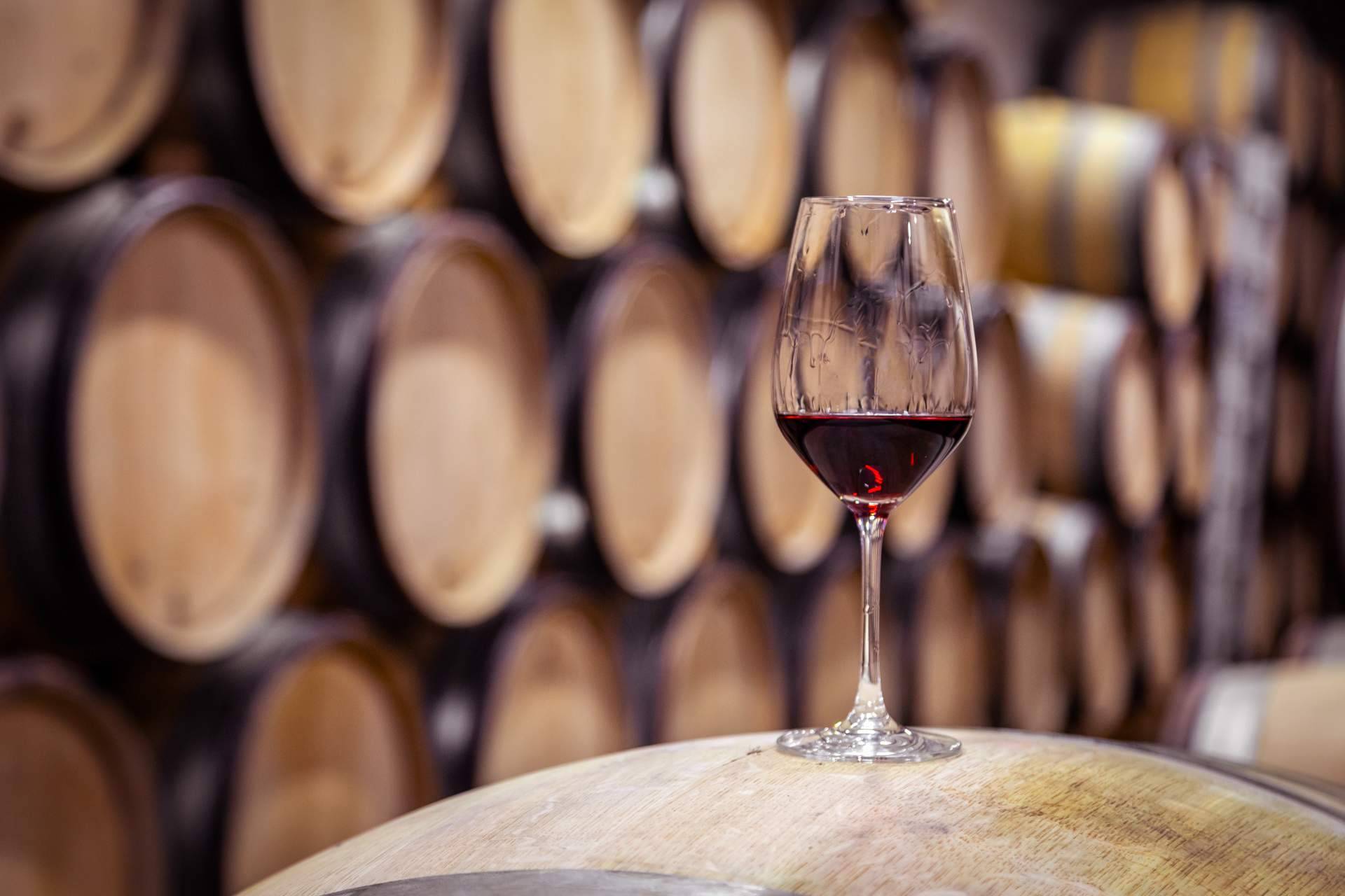 El ERP vitivinícola específico para bodegas de Certitec