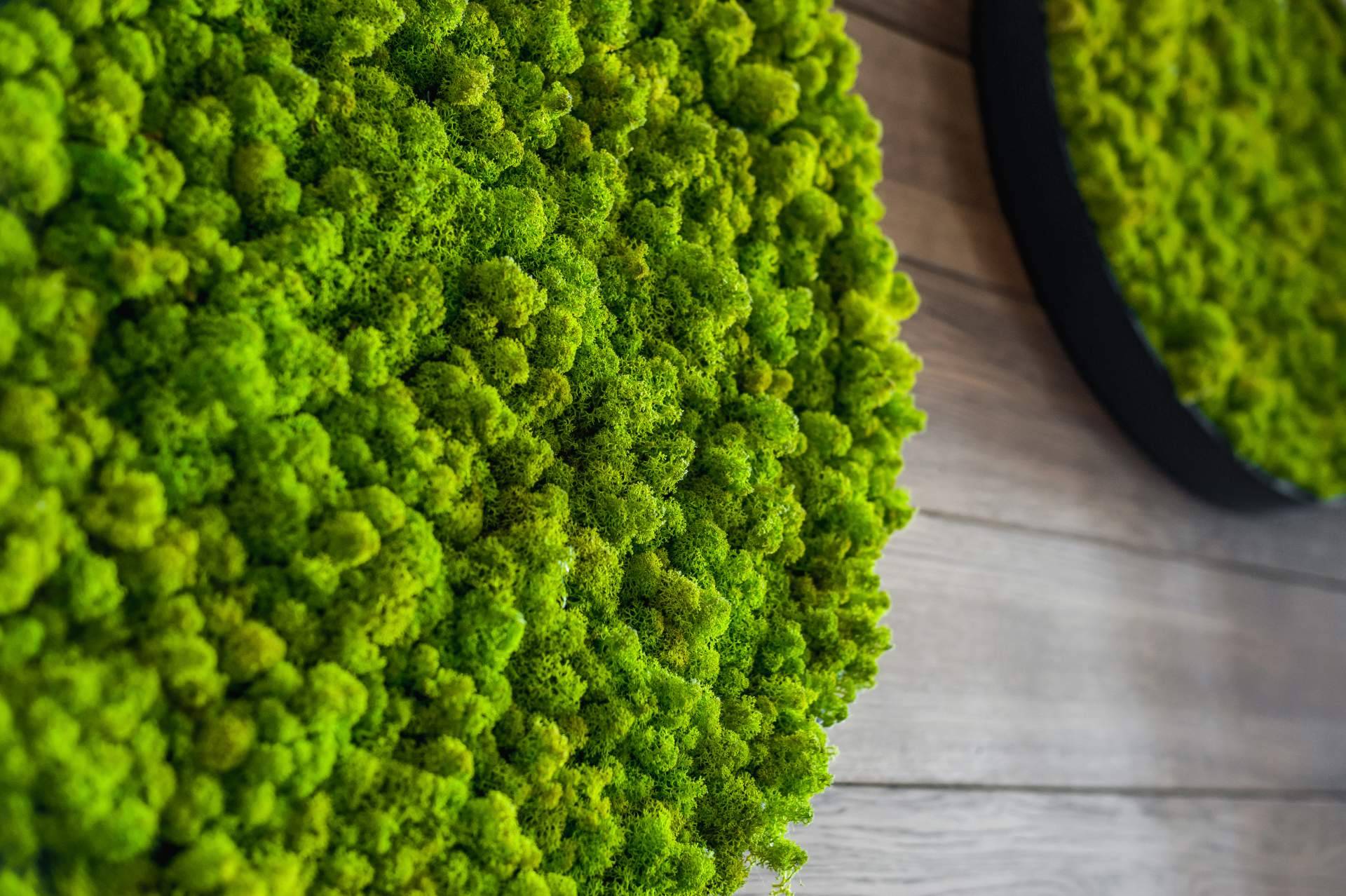 Uno de los productos estrella en JardínVertical.es es el musgo artificial