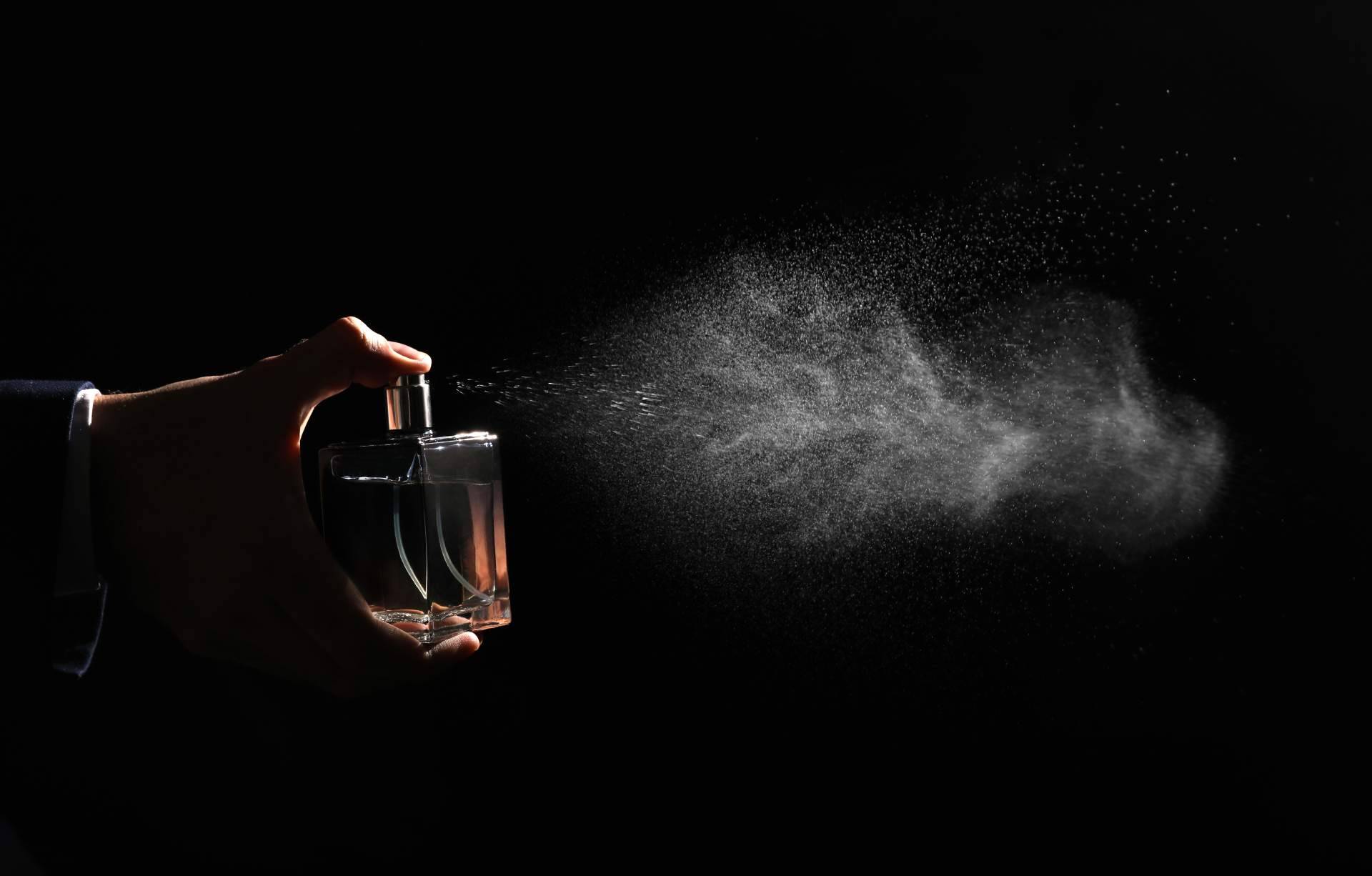 El amplio catálogo de perfumes de Creation Lamis de SamiPrimors