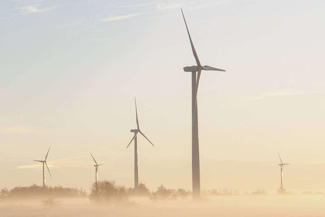 Dcycle, la plataforma diseñada para comunicar el impacto ambiental de las pymes
