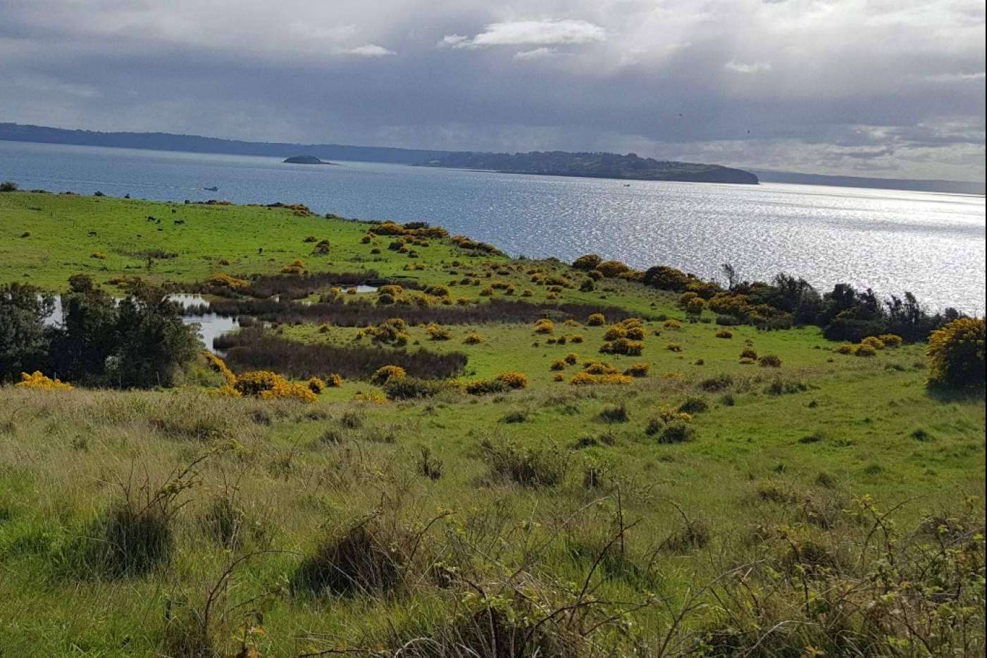 Chiloé es una tierra repleta de oportunidades, según Latitudes Australes