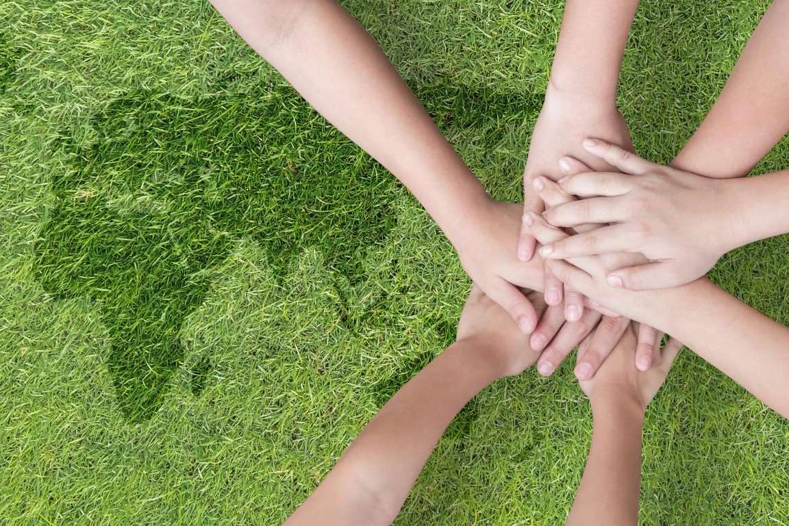 Laragon, un software para gestión ambiental