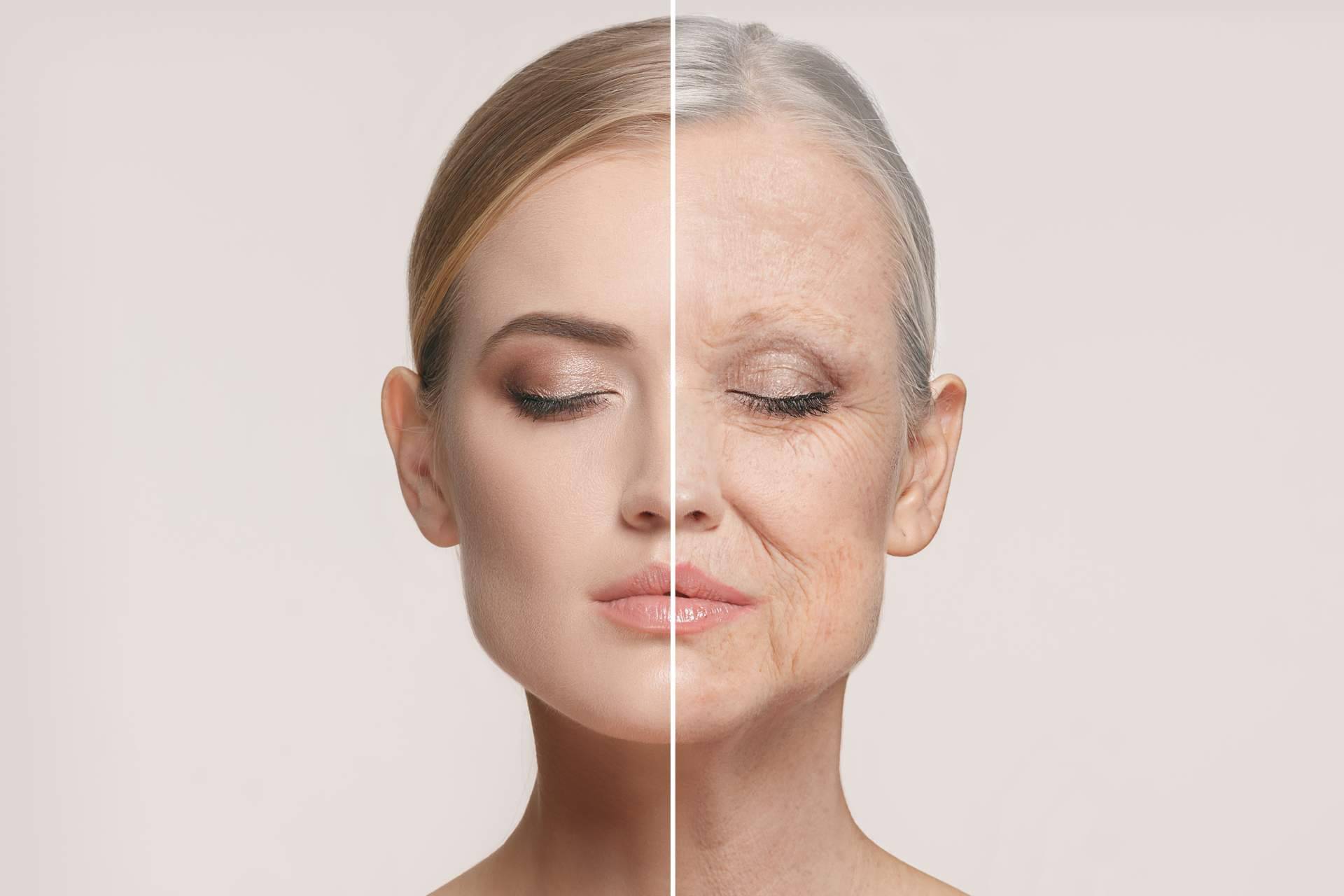 Terapias para eliminar las células senescentes, de la mano de COEUS Retroaging