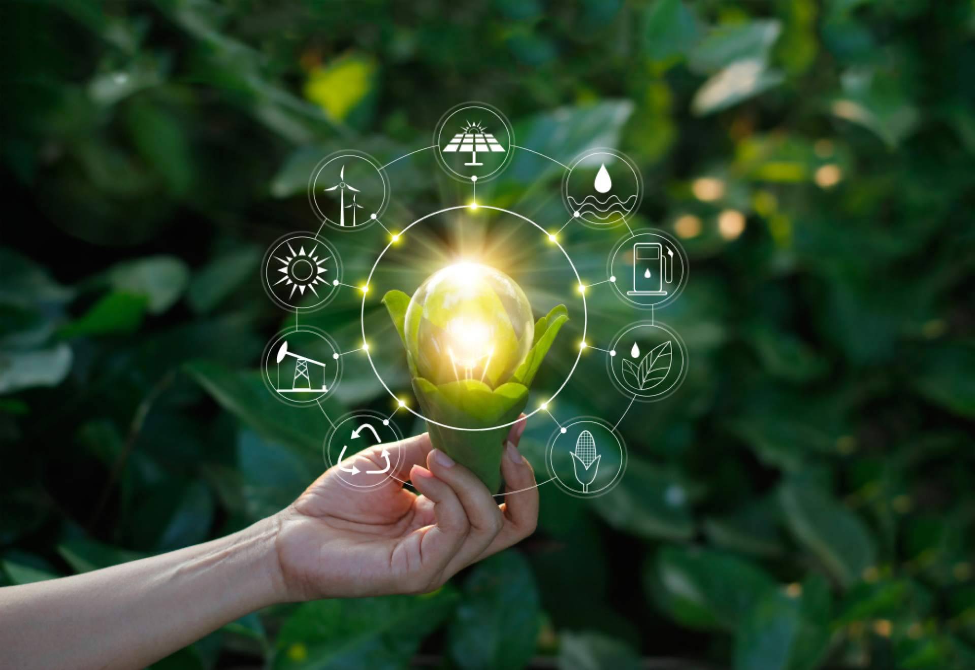 ¿Cómo contribuye un software de sostenibilidad al desarrollo empresarial?, por DoGood People