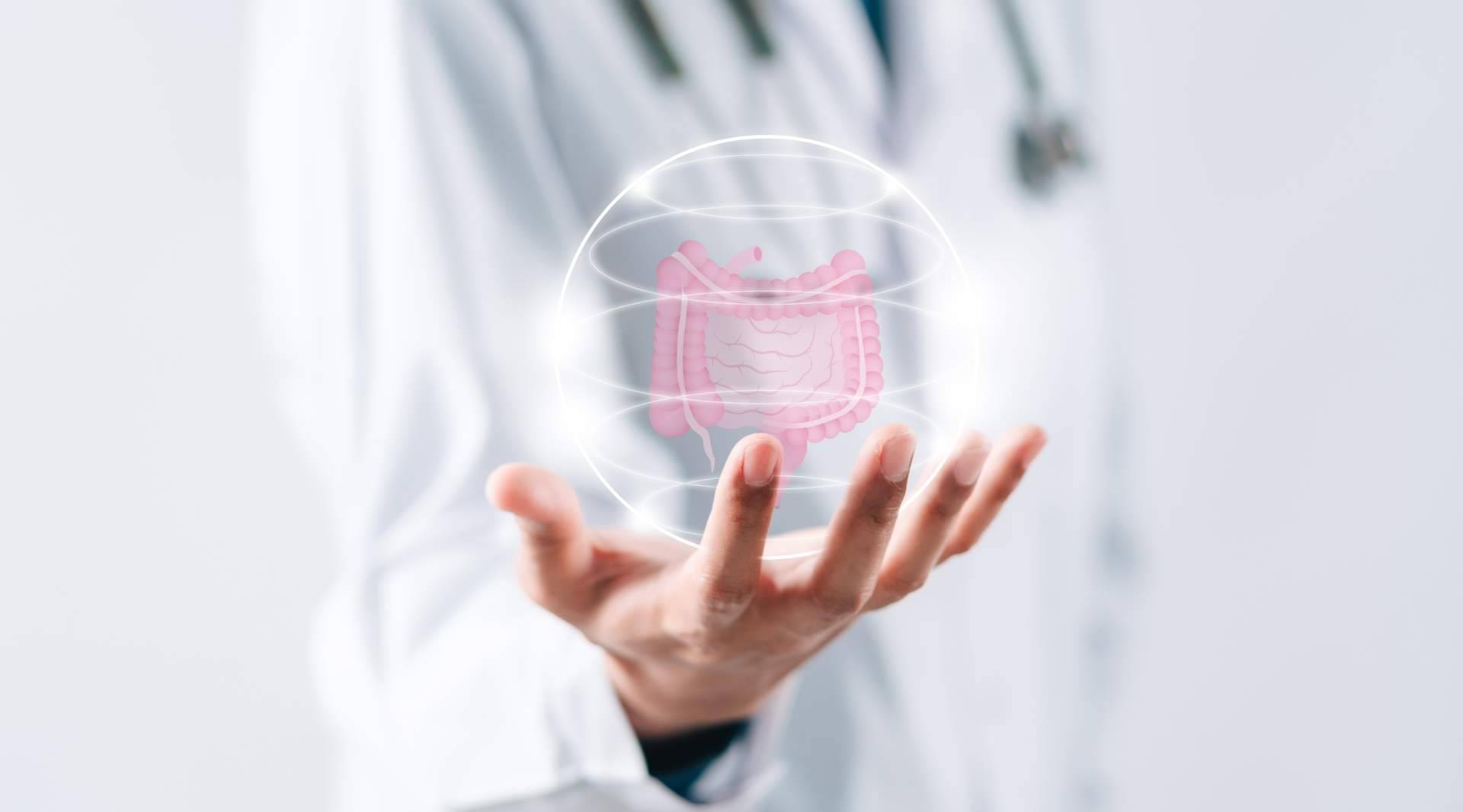Bibefy habla sobre la importancia de la permeabilidad intestinal