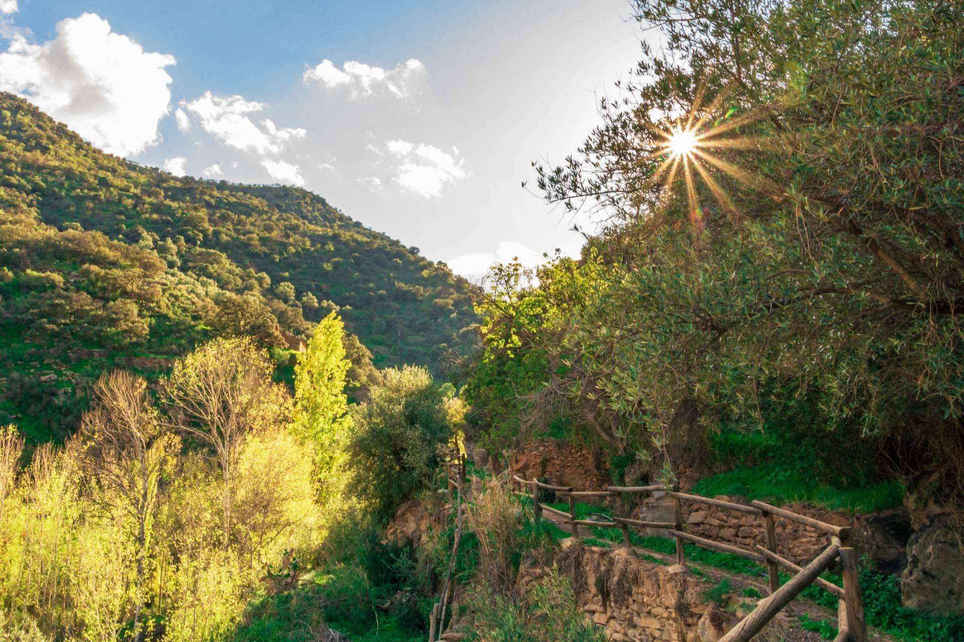 Valle del Almanzora, un tesoro en el interior de Almería