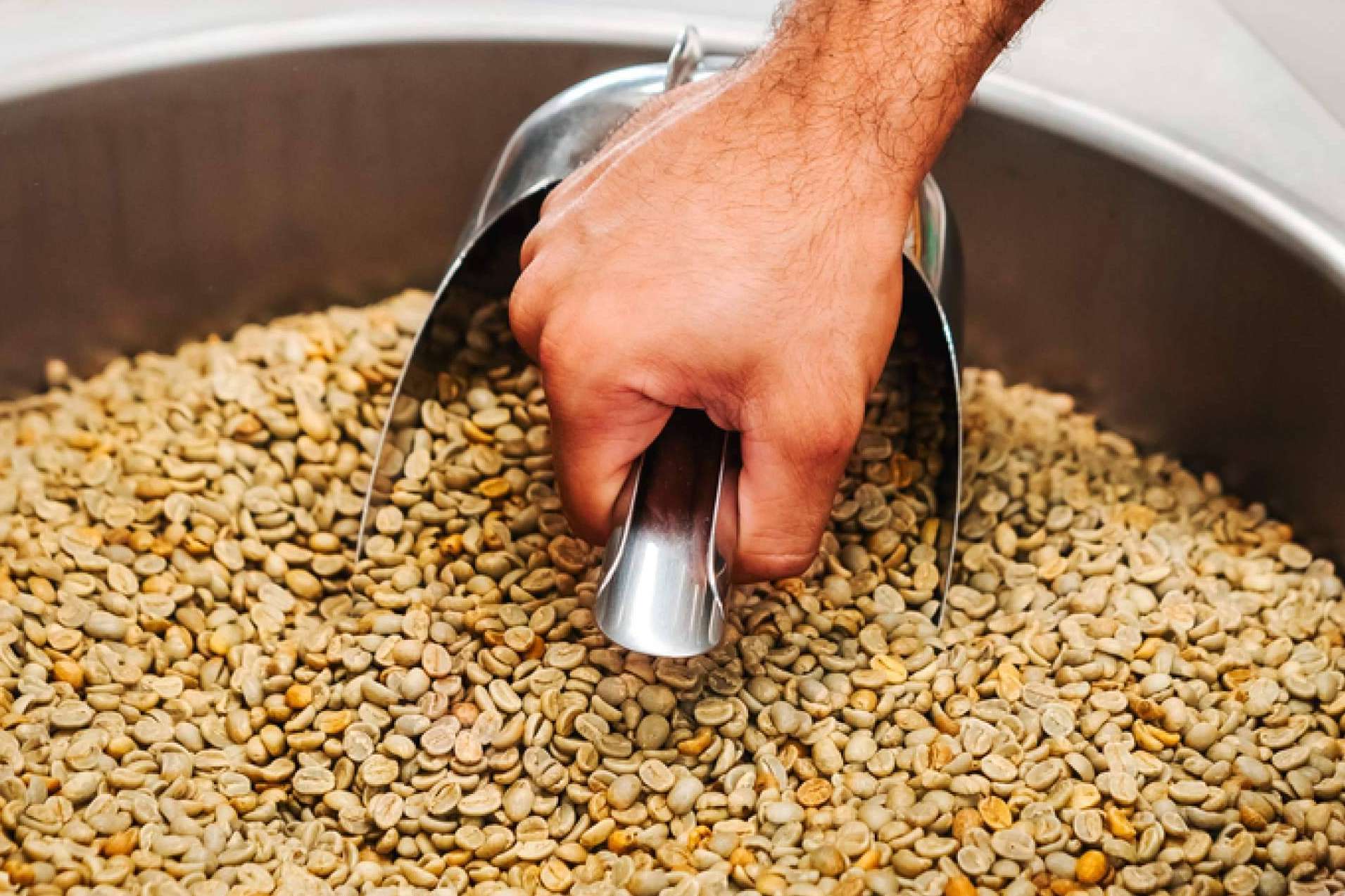El proyecto D·Origen Coffee Roasters busca transformar la cultura del café en España