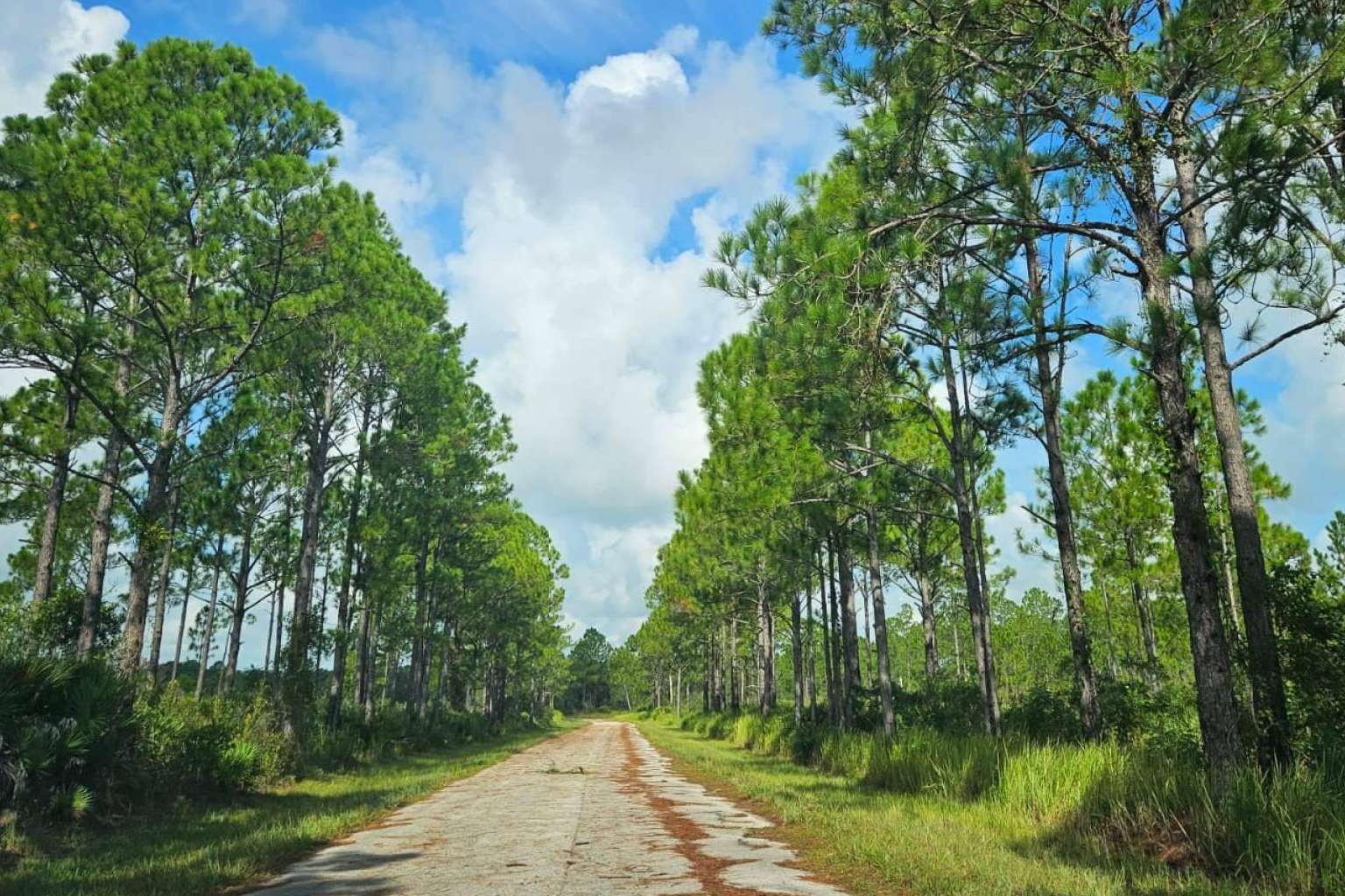 Cuando se invierte en terrenos en Florida hay bajo riesgo