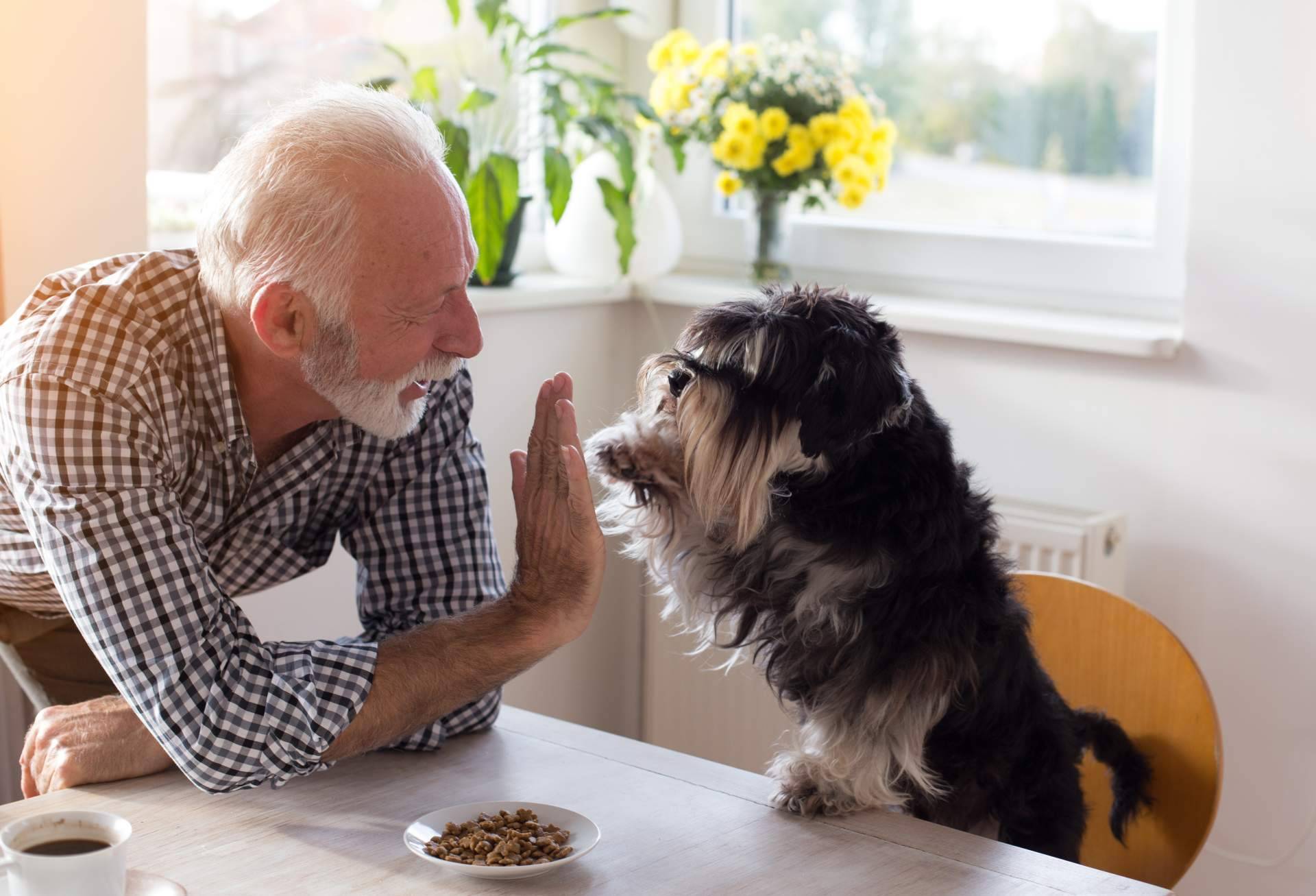Era Pet Food ofrece un snack para perros