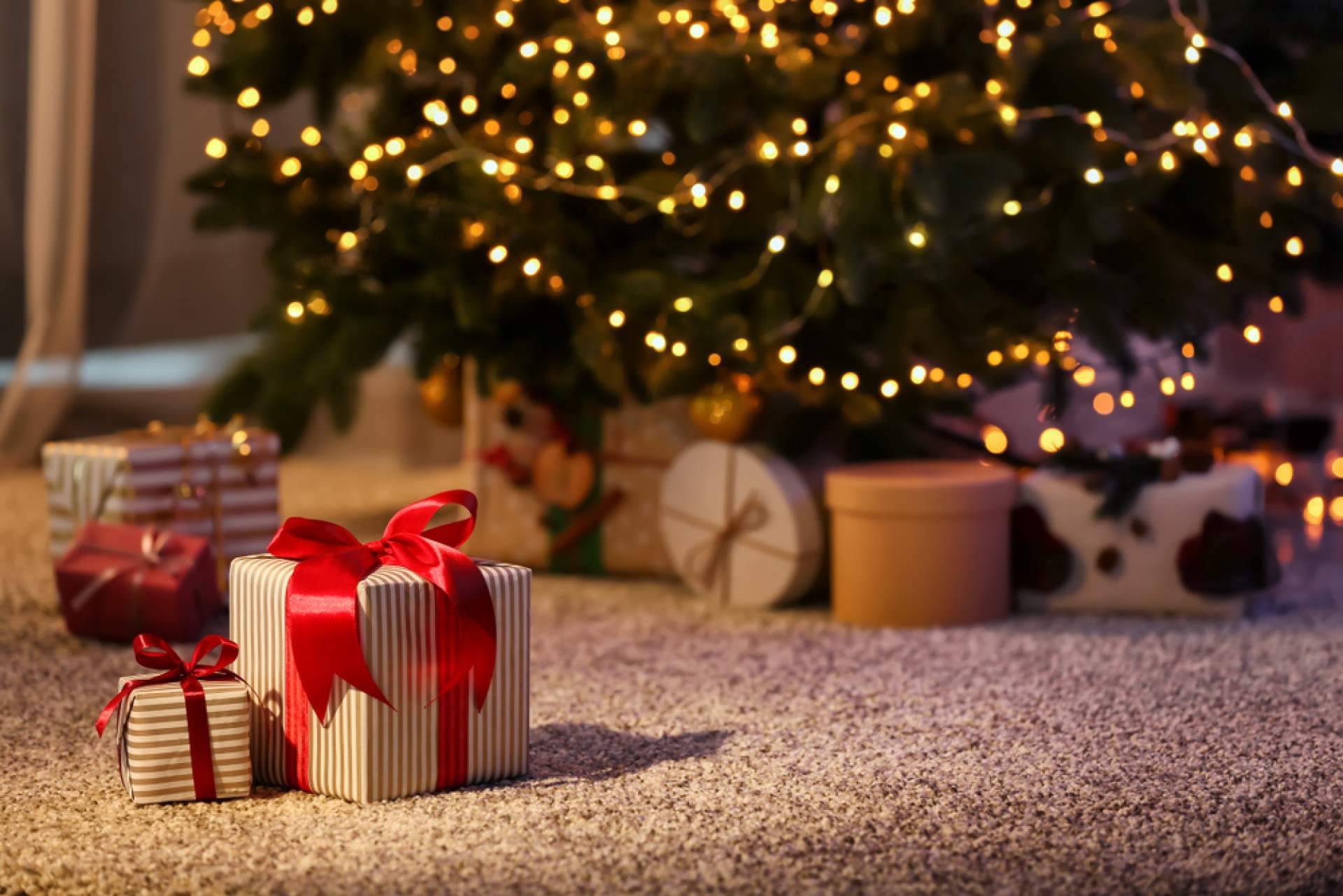Navet facilita la compra de árboles de Navidad sostenibles