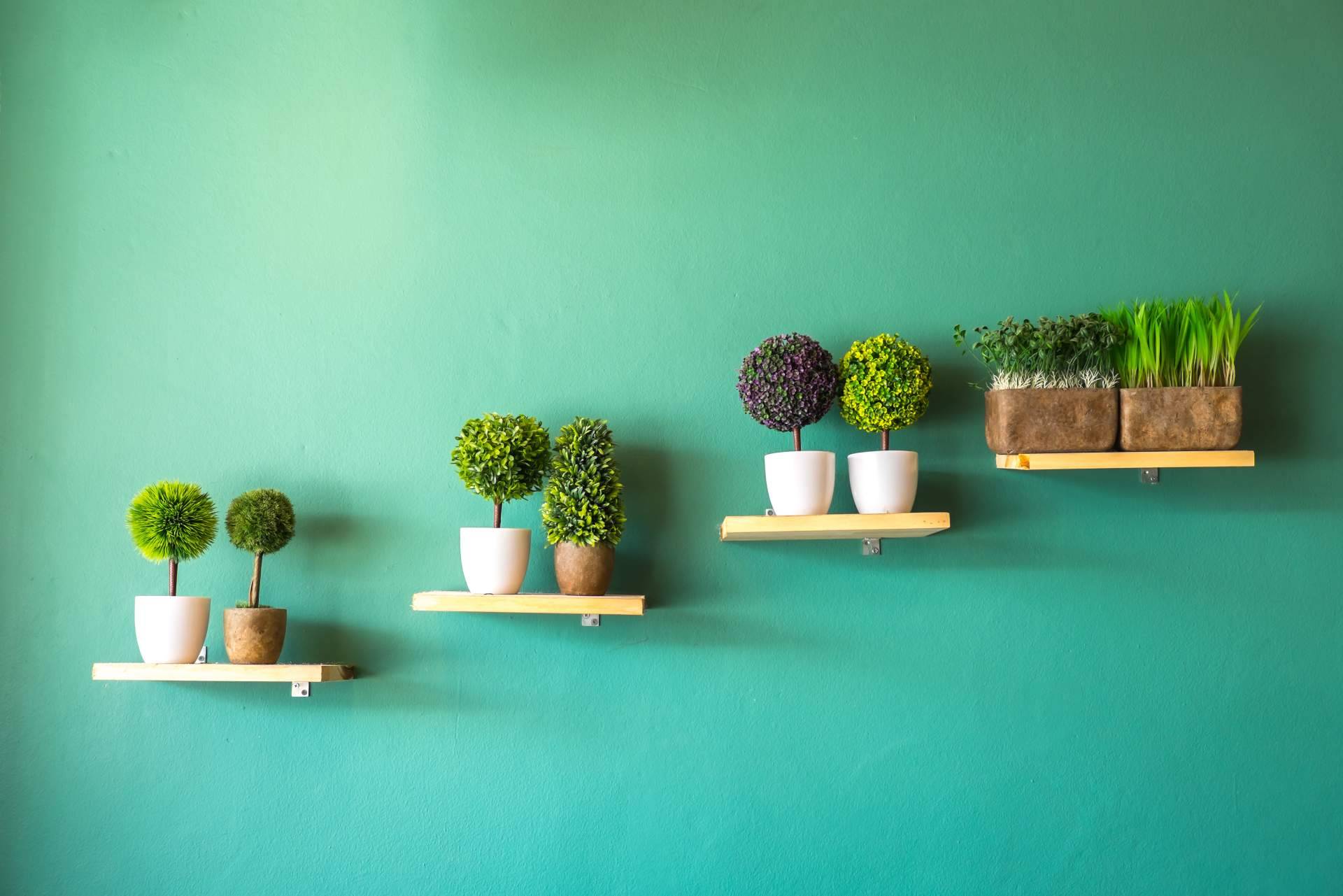 Black Friday, la oportunidad perfecta para comprar plantas artificiales en JardinVertical.es