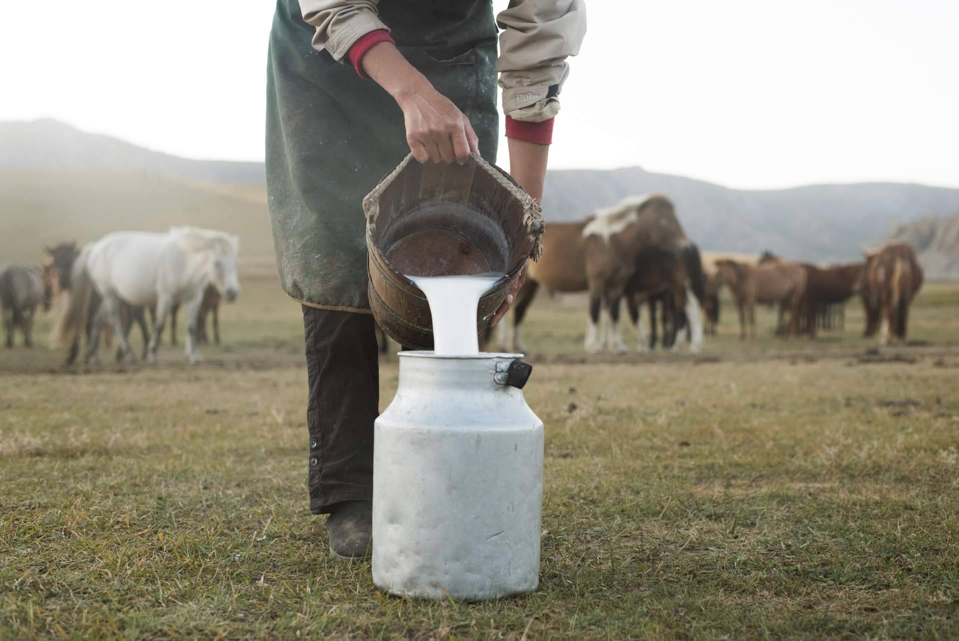 eQuaid innova en fórmulas que maximizan los beneficios de la leche de yegua