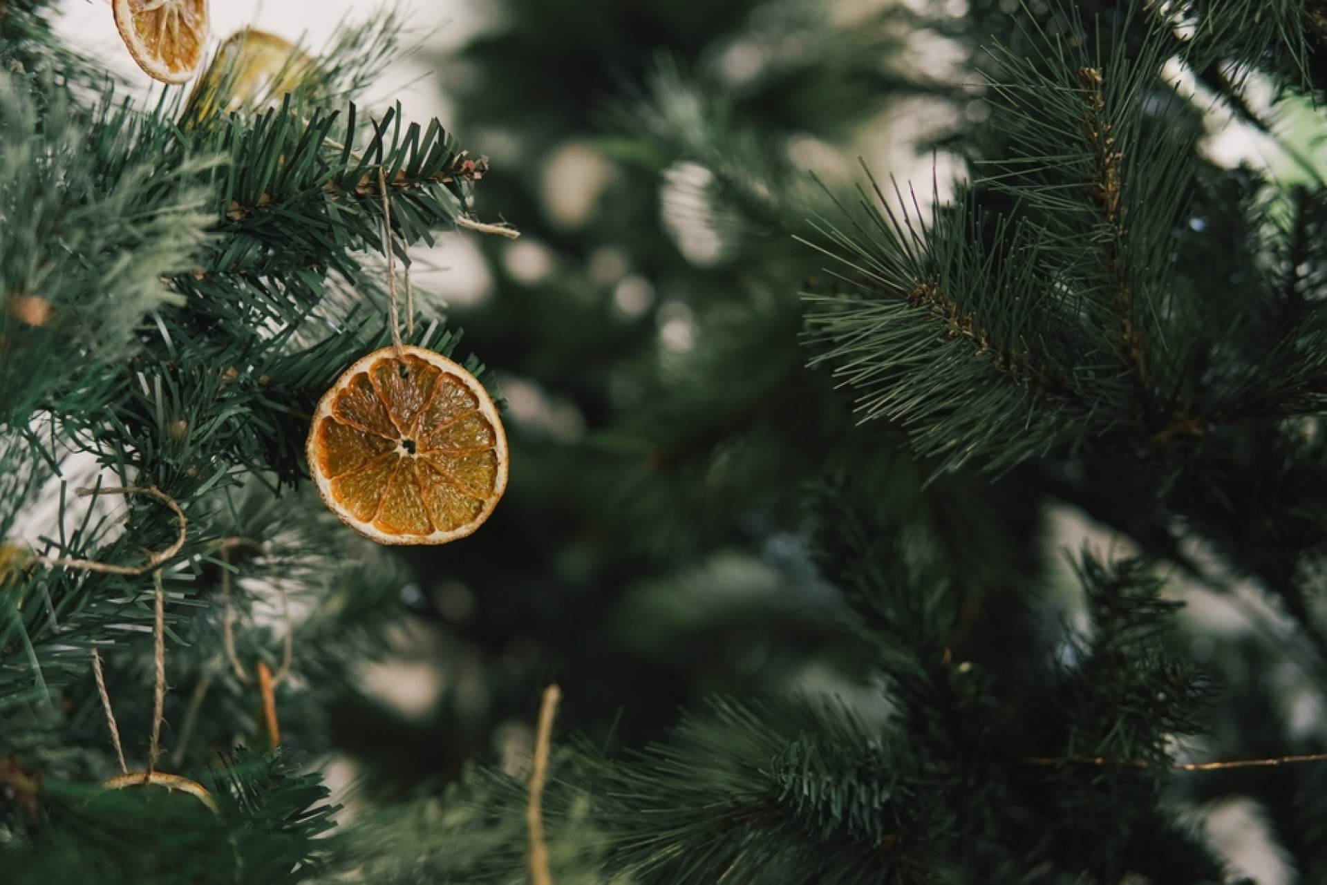 Navet cuenta con árboles de Navidad naturales para la venta