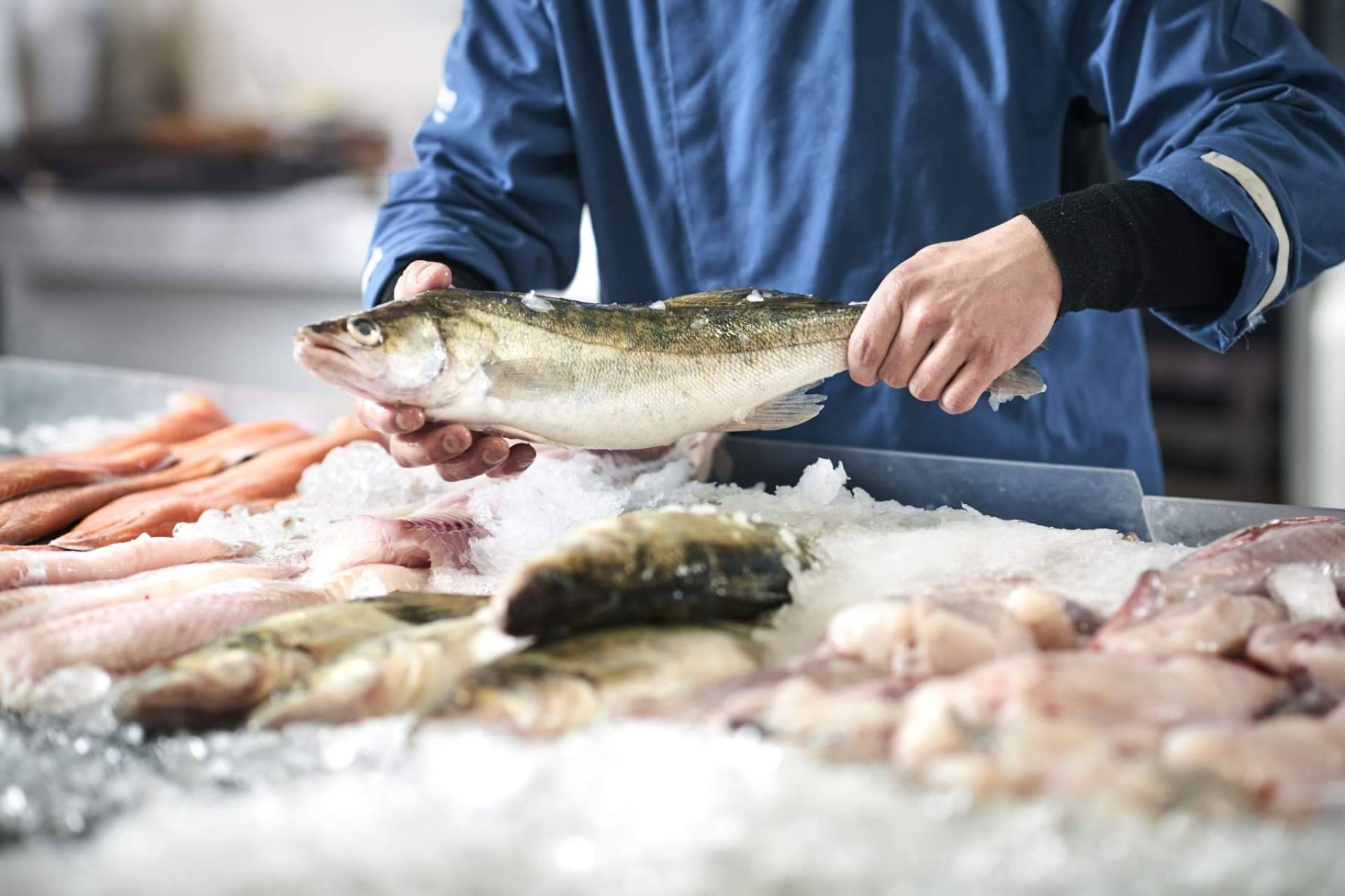 Pescadería Younes Ceuta, expertos en pescados y mariscos