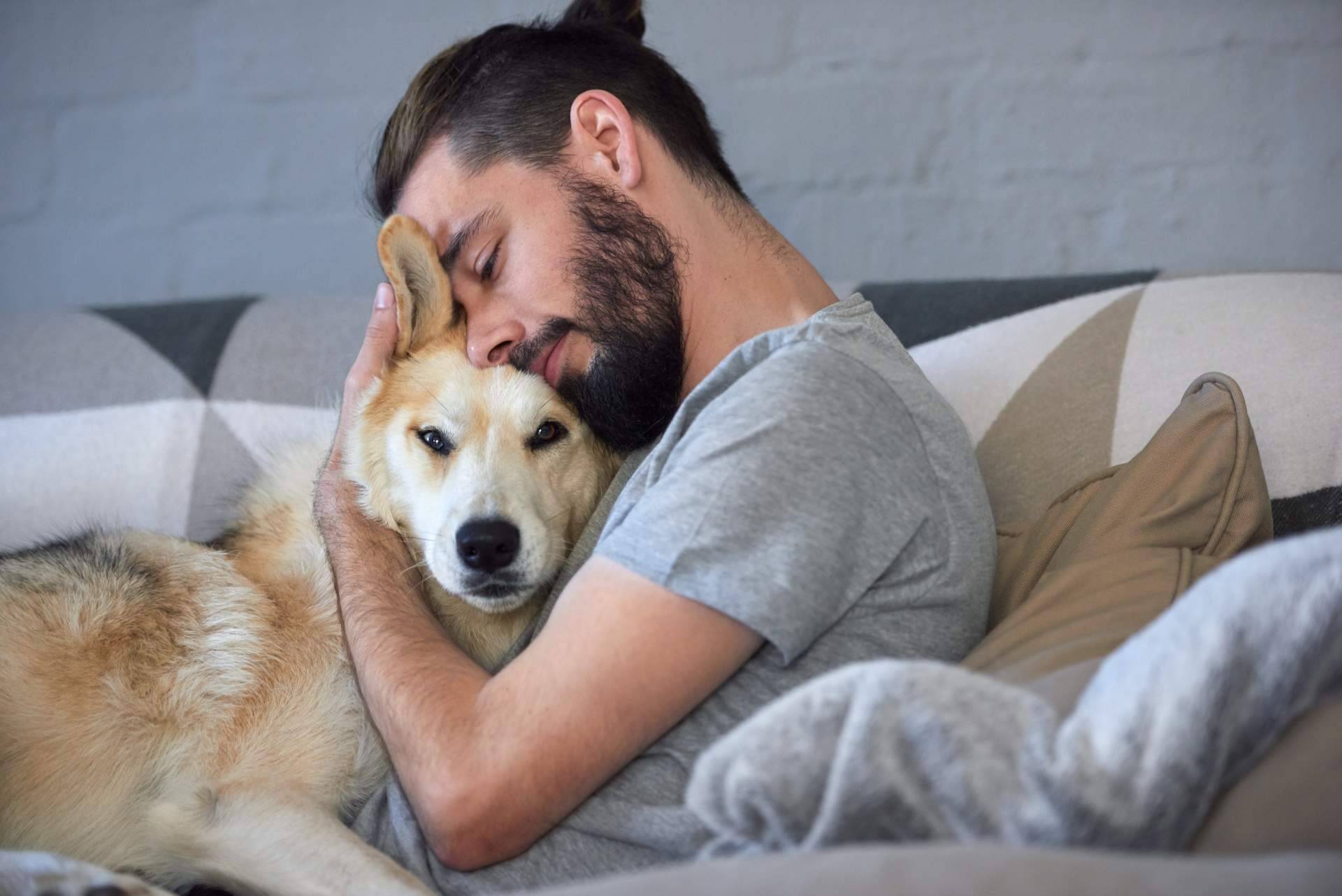 ¿Dónde encontrar expertos en nutrición animal? Era Pet Food