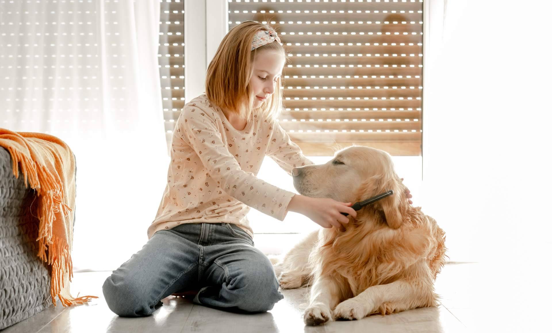 Variedad de comida para perros con Era Pet Food para una dieta sana y equilibrada