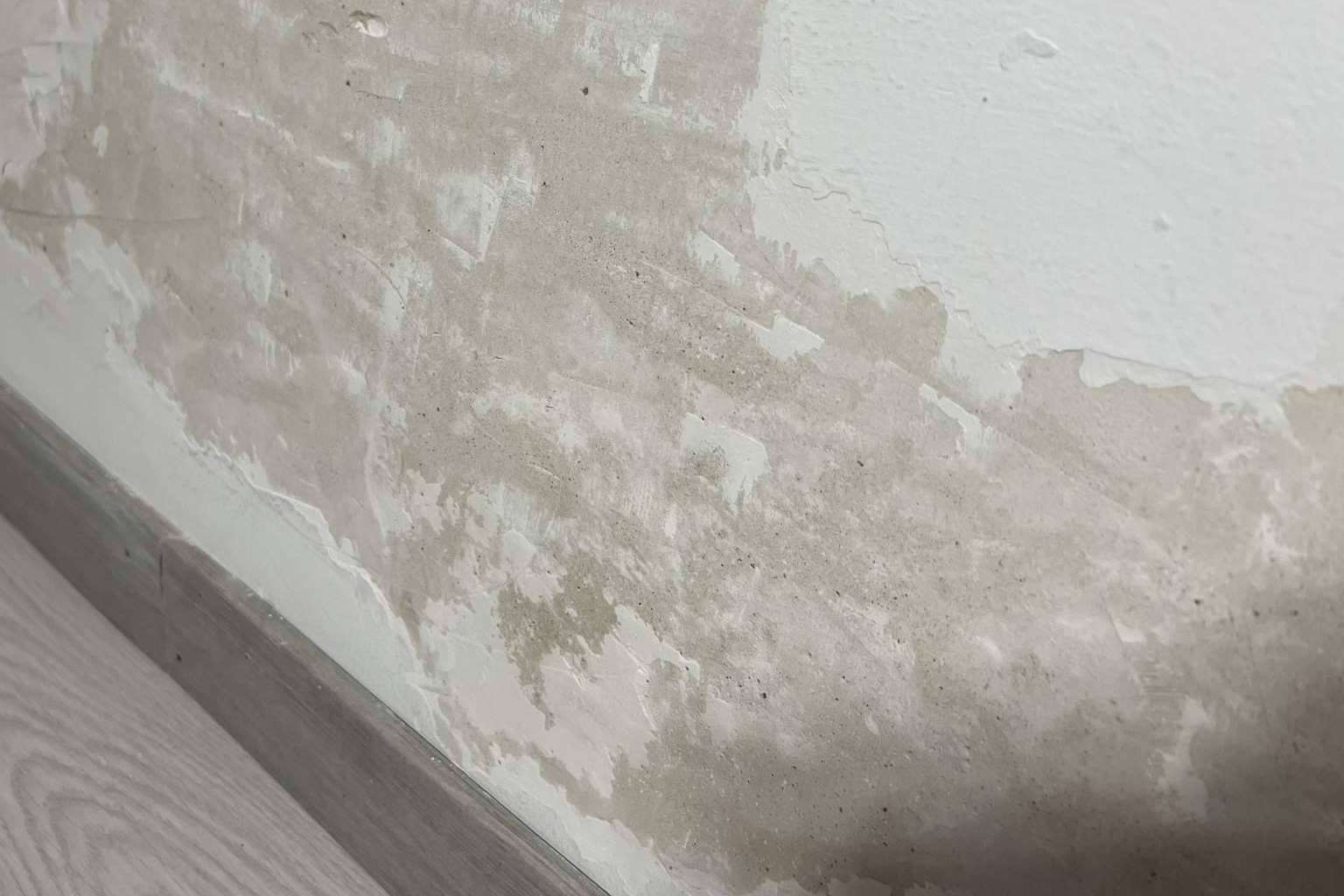 Las opciones para quitar la humedad de la pared, de la mano de Preactiva