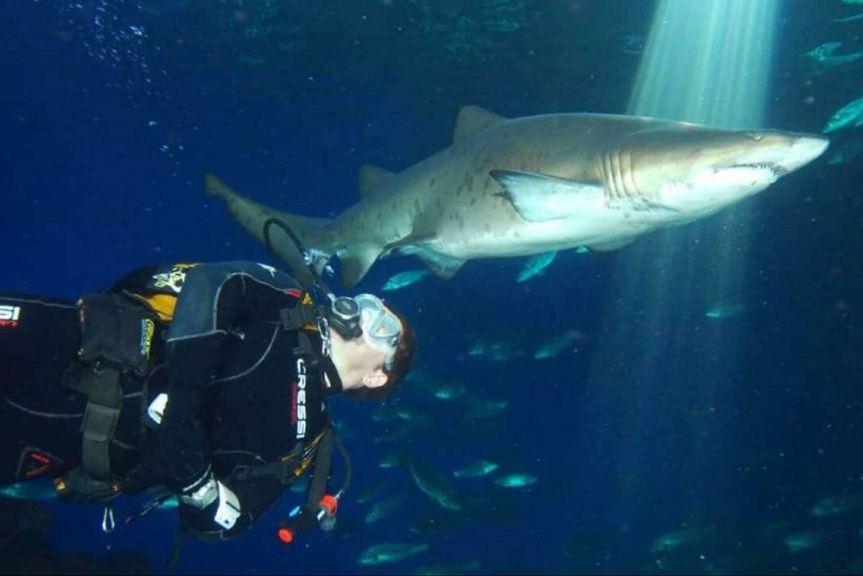 Palma Aquarium, actividades y experiencias que no pueden faltar