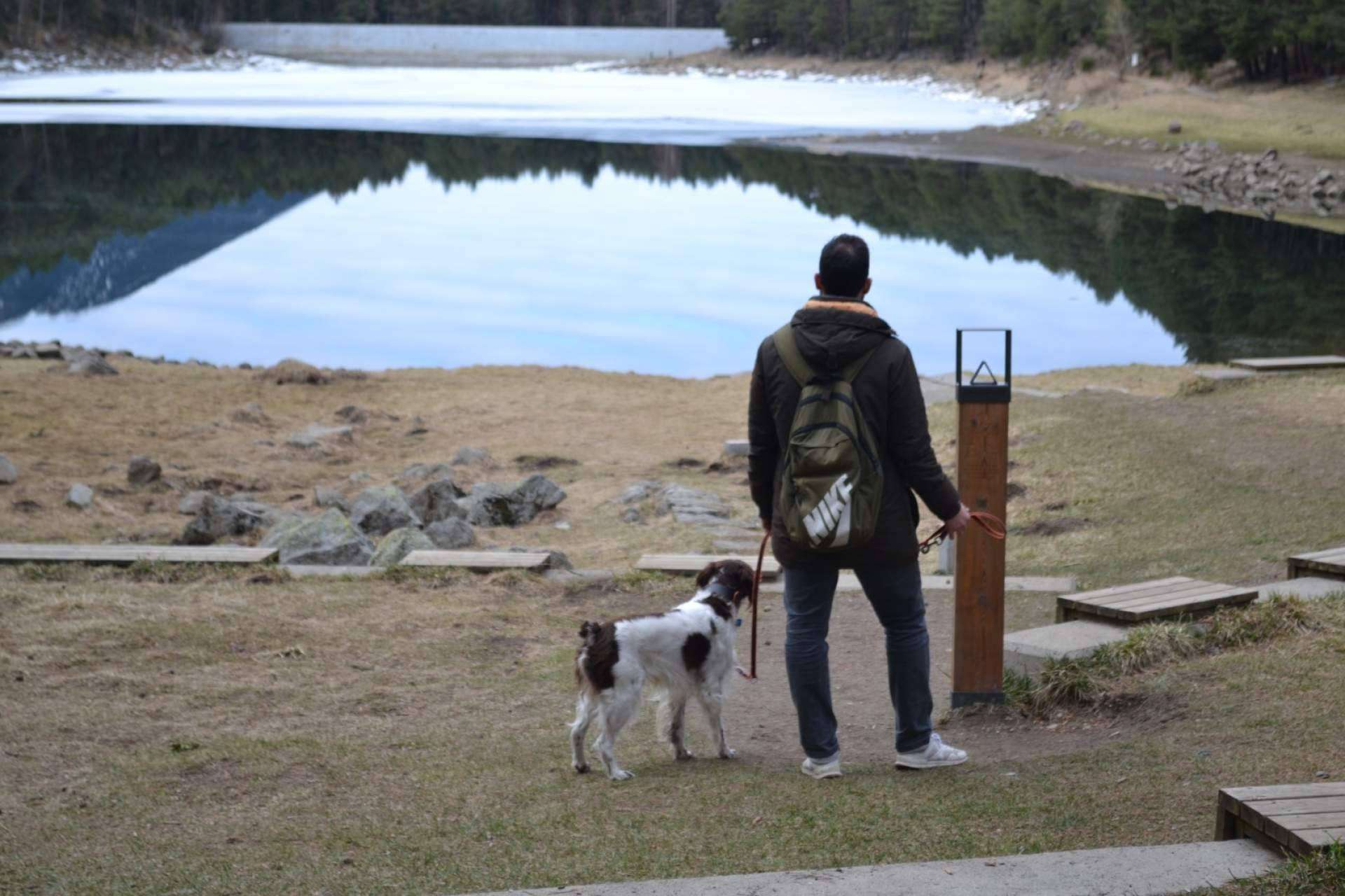 Adiestrando Respeto revoluciona el mundo canino; Víctor Laborda transforma perros que ladran sin parar y tiran de la correa en compañeros ejemplares