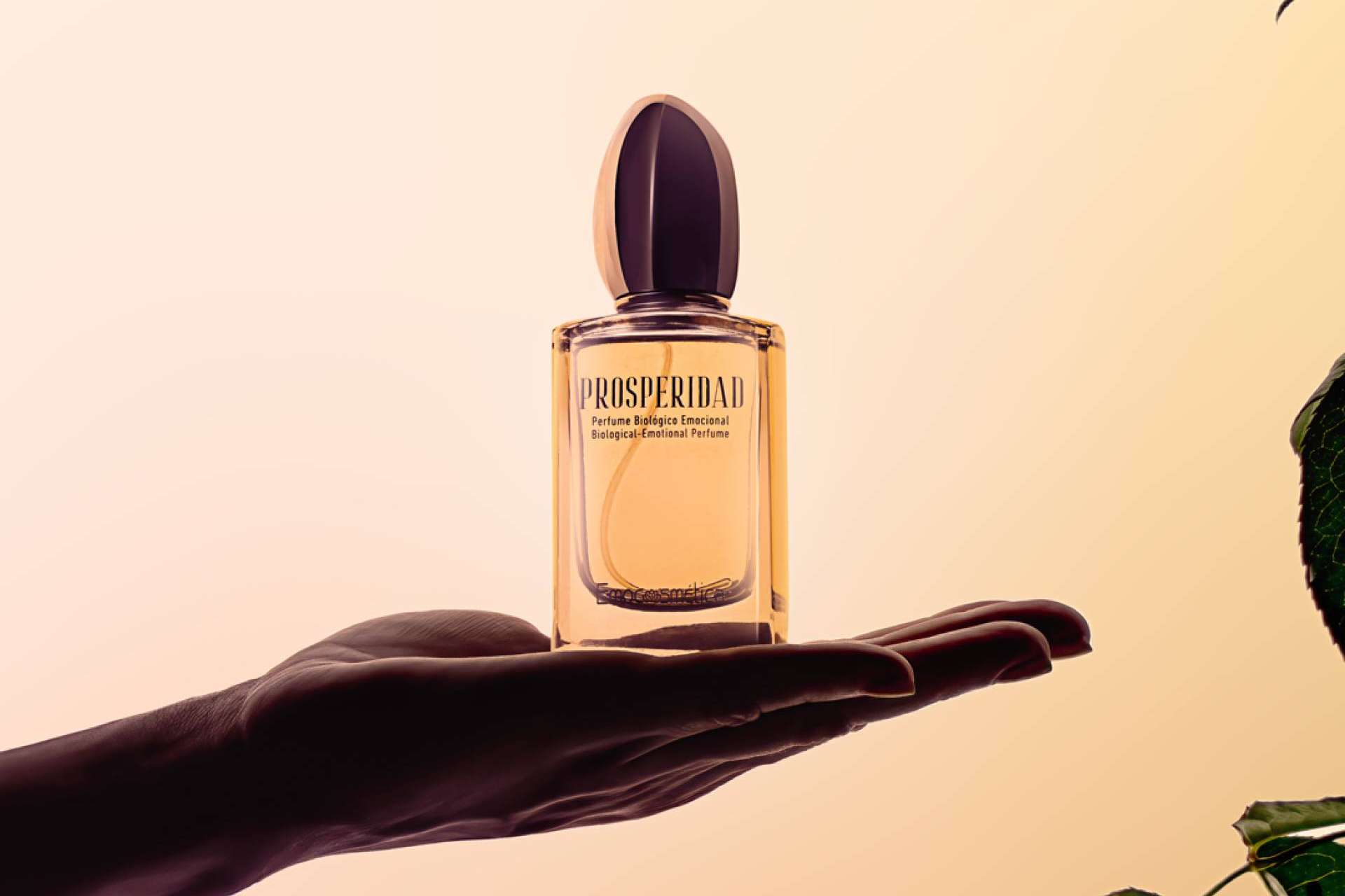 Emocosmética; marca de referencia en cosmética emocional