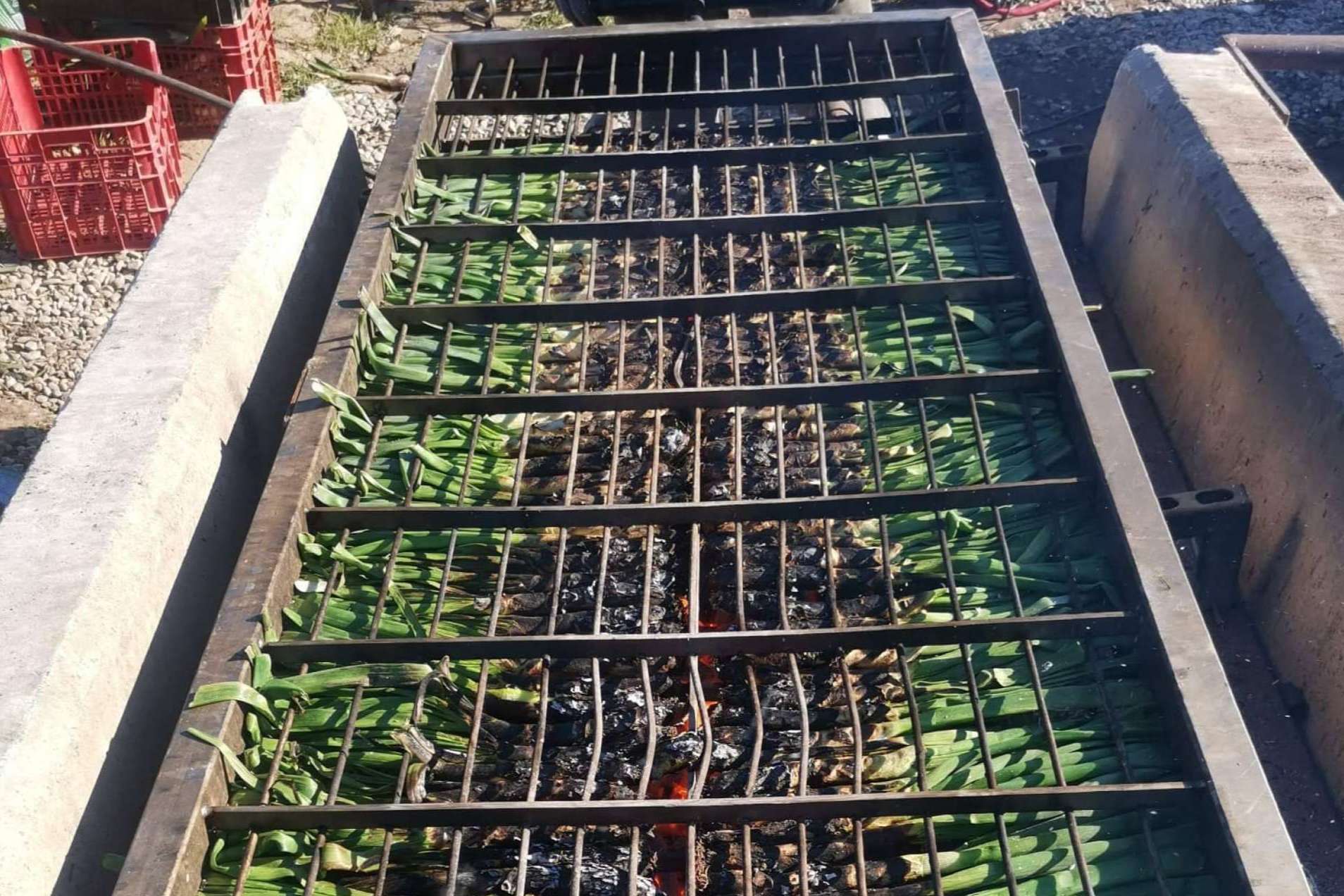 Calçots de cosecha propia de la mano de Cal Delaida
