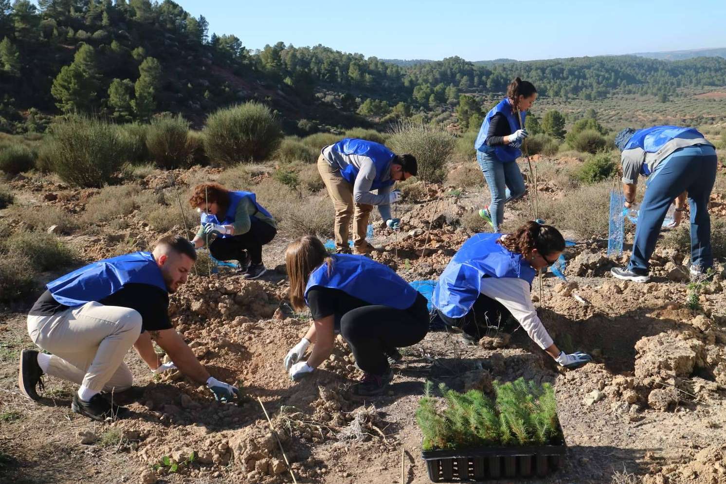 Alianza Logistics por segundo año consecutivo compensa su huella de carbono plantando un bosque