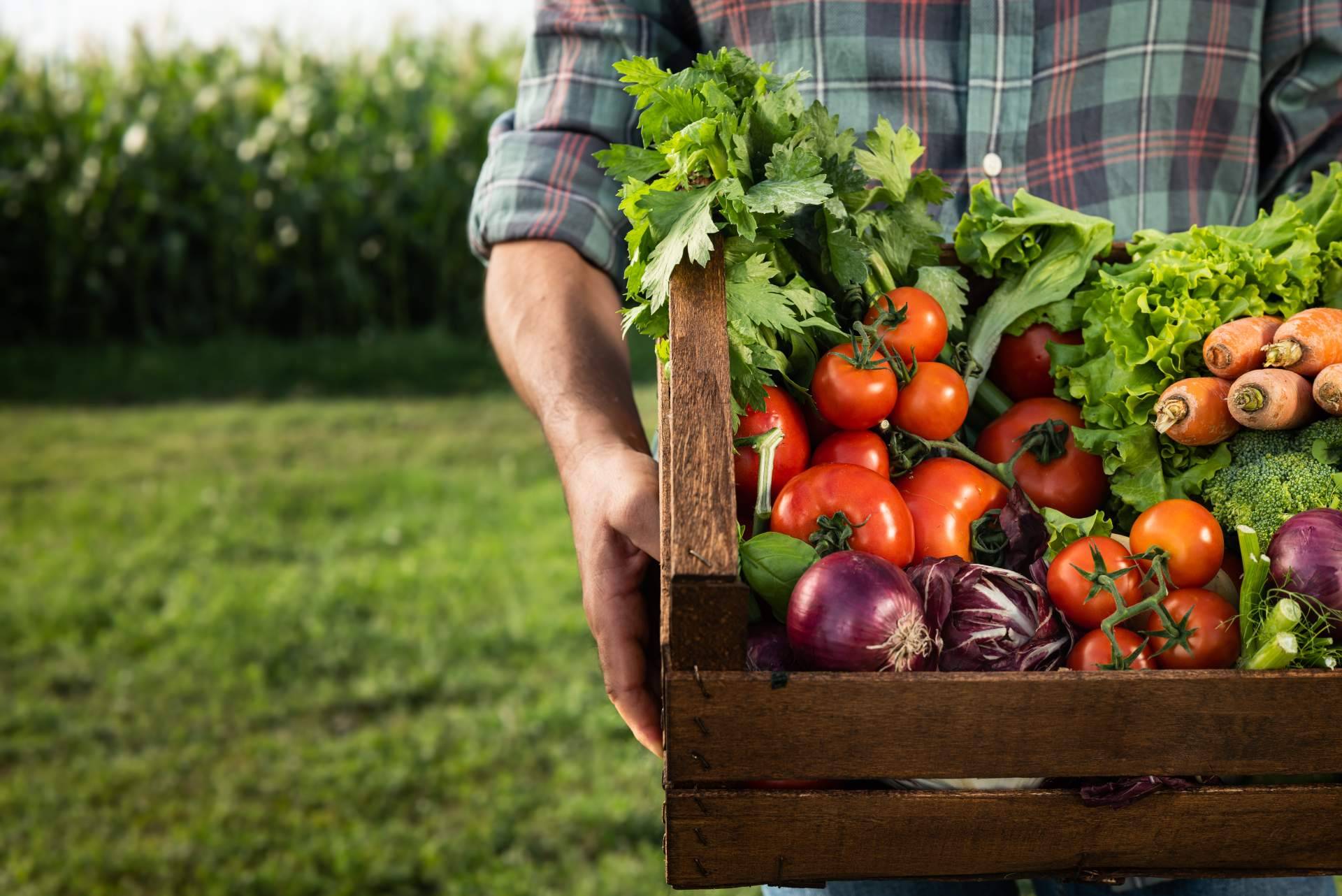 Razones por las que está creciendo la venta online de productos ecológicos y sostenibles