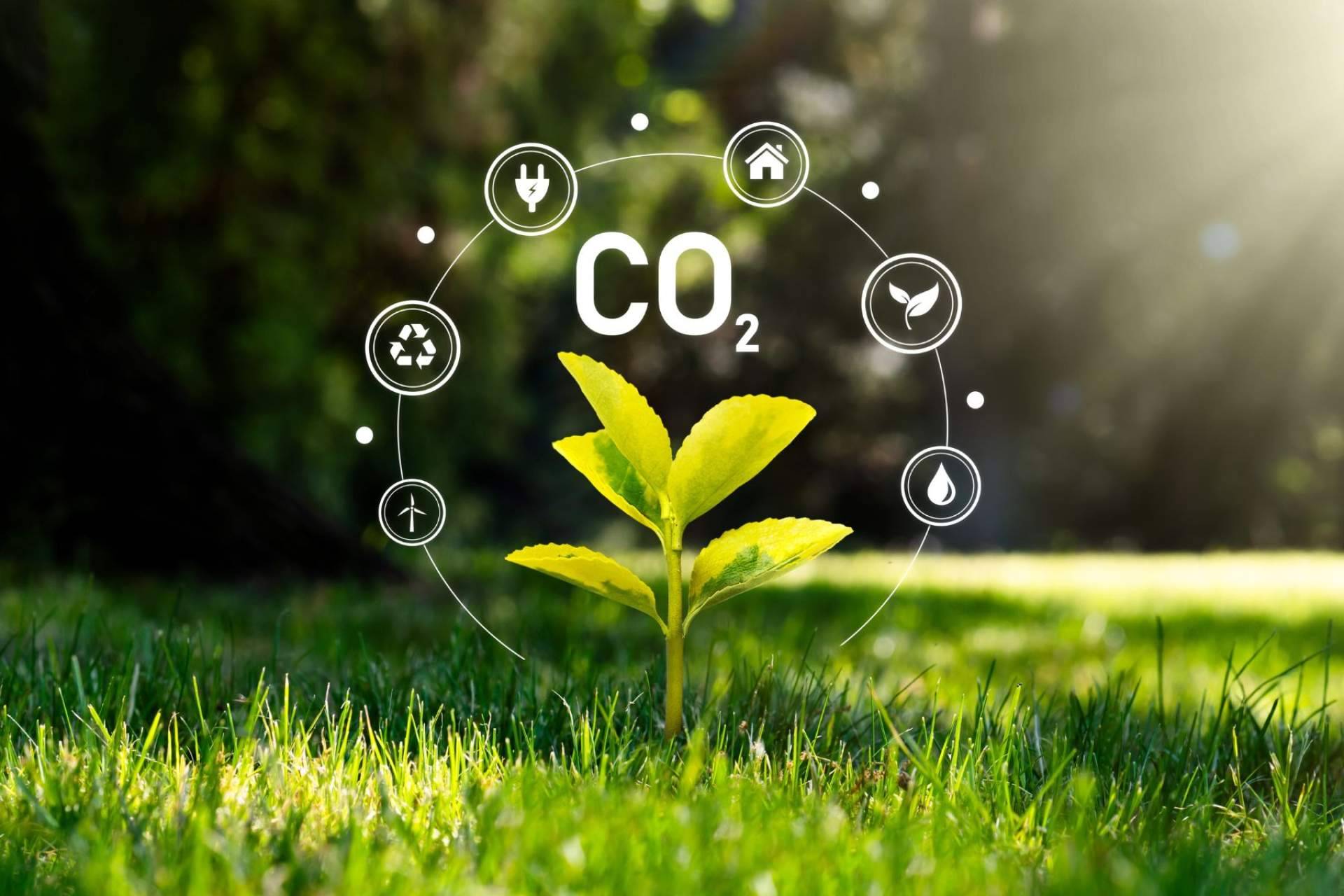 Multienergía Verde reduce su huella de carbono en un 90 % desde 2019