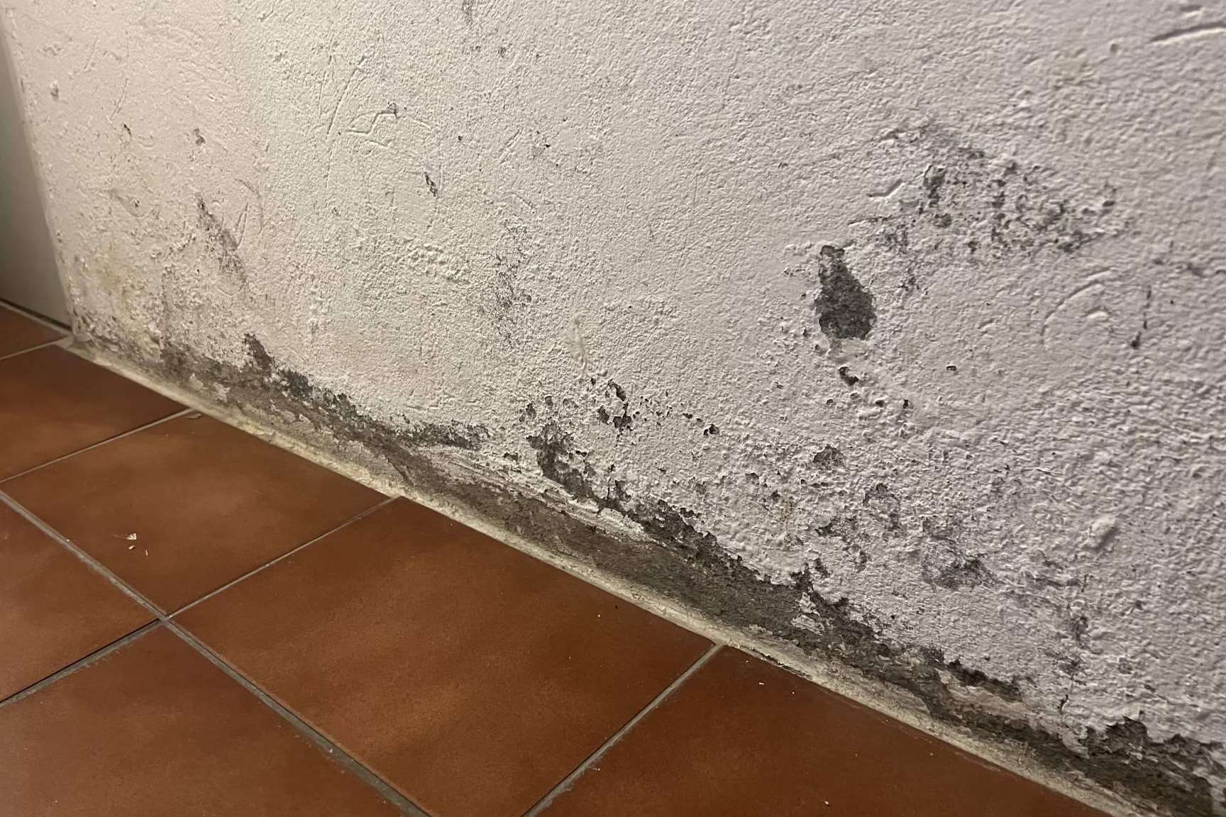 Cuando se trata de humedades, Preactiva se consolida como una solución inteligente