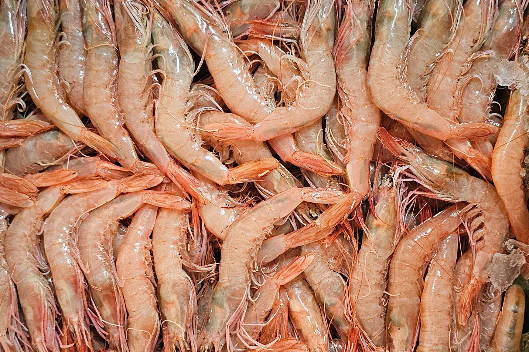 La gamba blanca de Huelva de la Lonja de Ayamonte