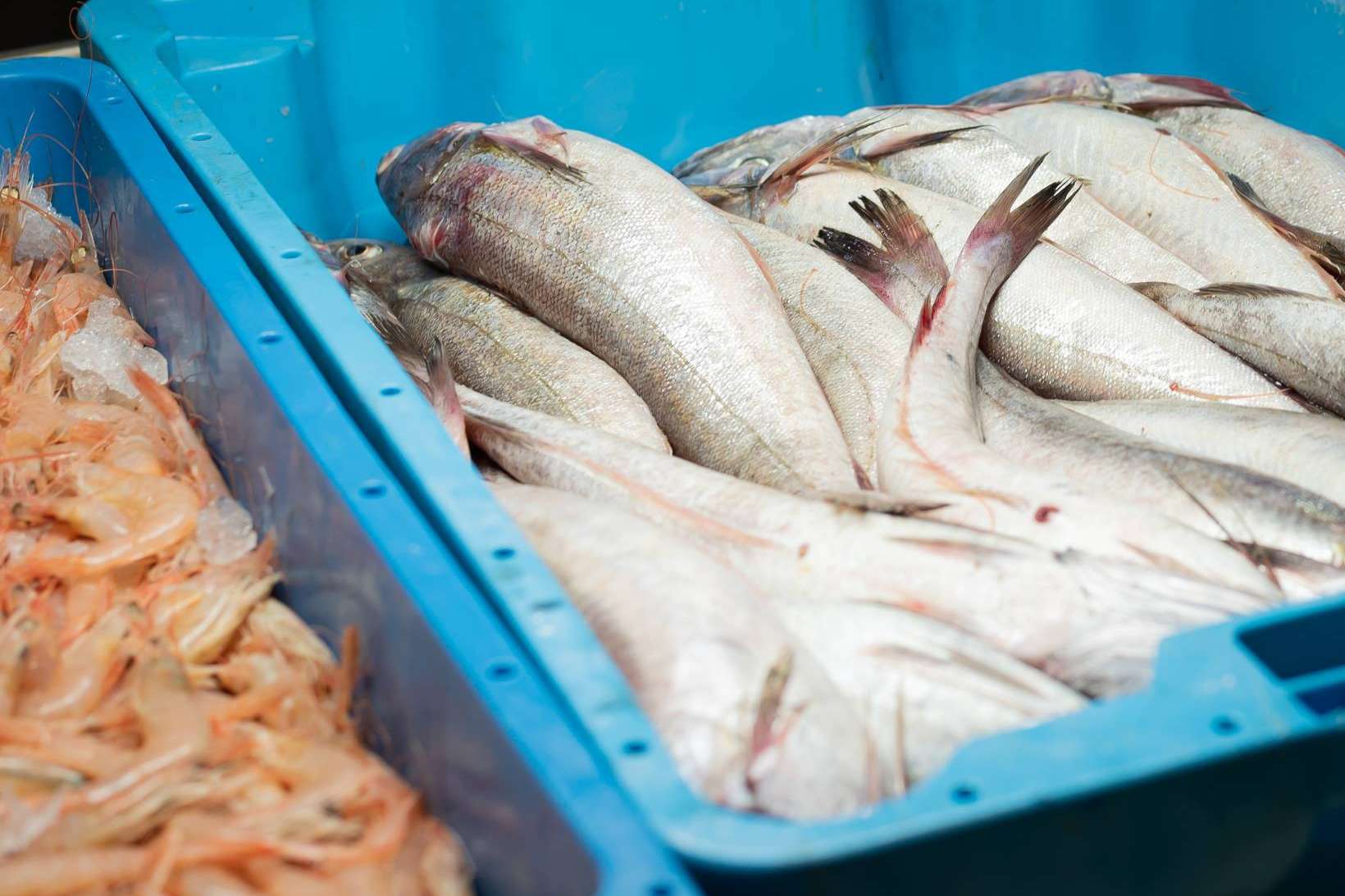 Venta de pescado y marisco fresco en España, en Lonja de Ayamonte