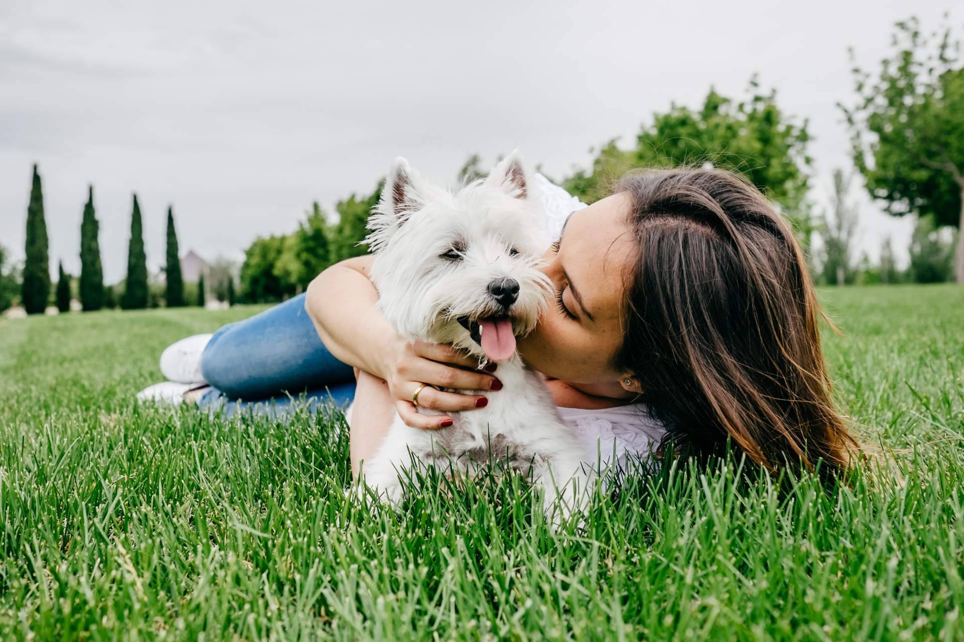 Emprender el camino a la felicidad; descubrir las increíbles becas de El Perro Feliz